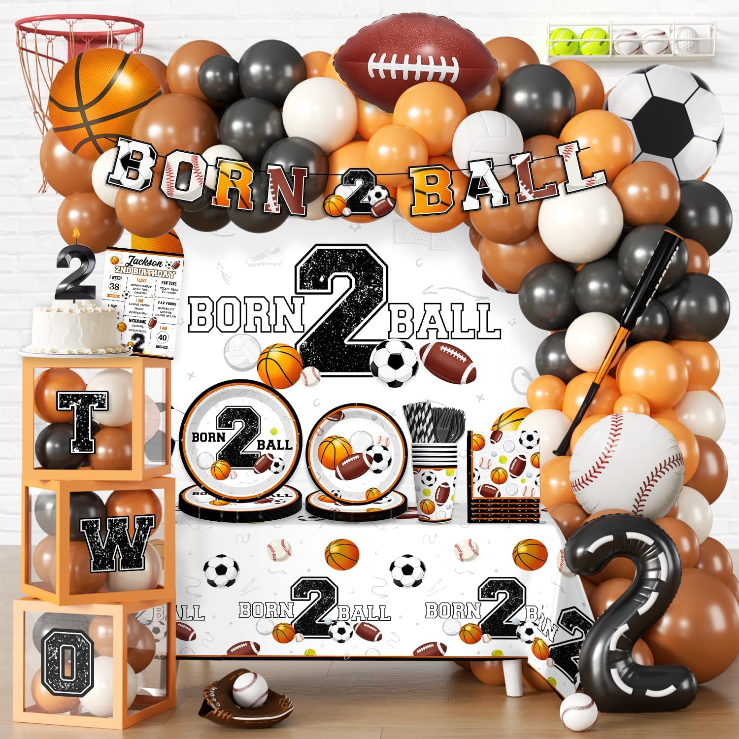 291 PCS Born 2 Ball Birthday Decorations, All-in-One Party Pack with Backdrop, Balloon, Plates and Napkins, for Ball Themed 2nd Birthday Party, Serves 25 Guests