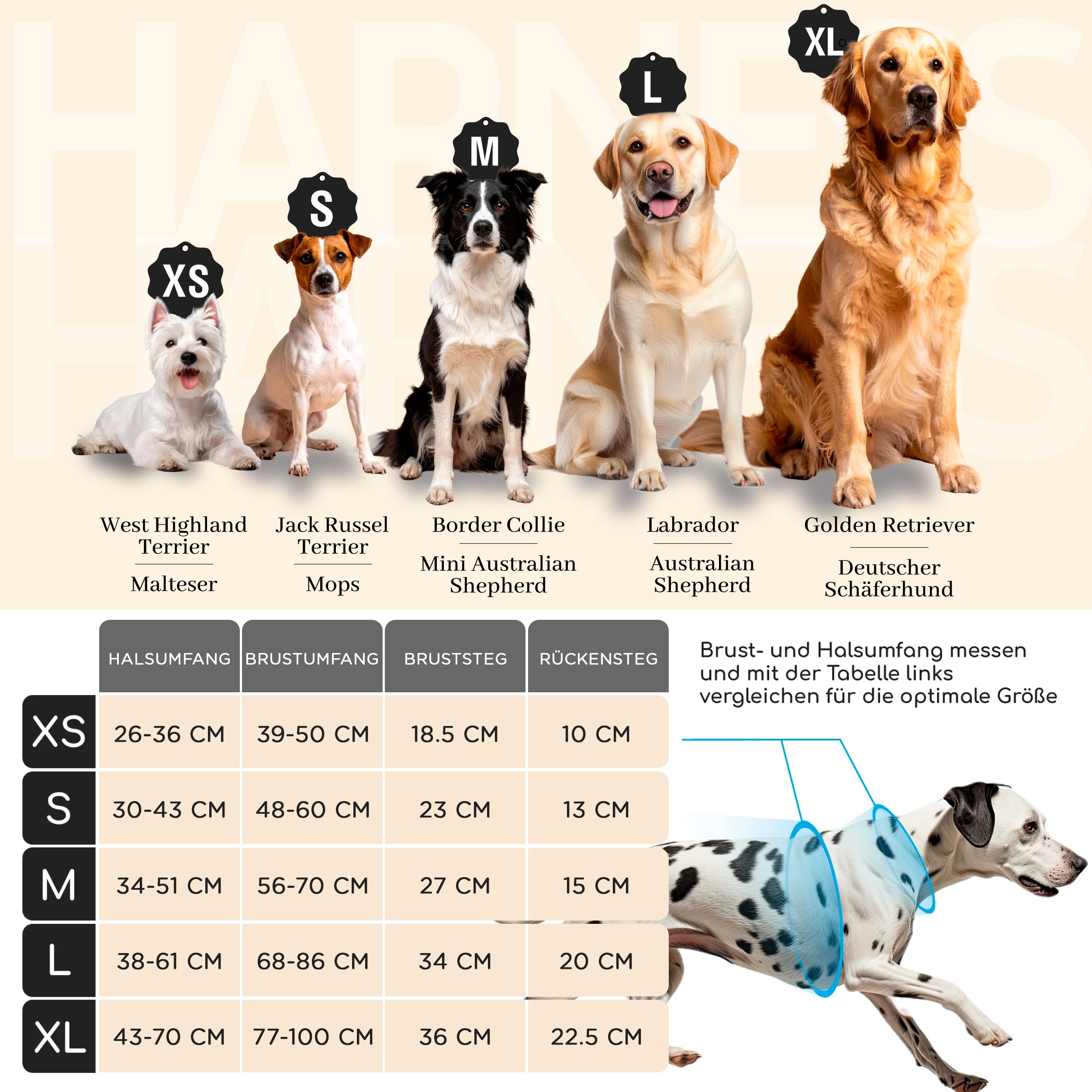 FREUDENTIER Hundegeschirr mit Griff, atmungsaktiv gepolstert - Bombenfester Sitz & maximale Sicherheit - Anti Zug Hundegeschirr kleine, mittelgroße & Grosse Hunde - Hunde Geschirr (Black, L)