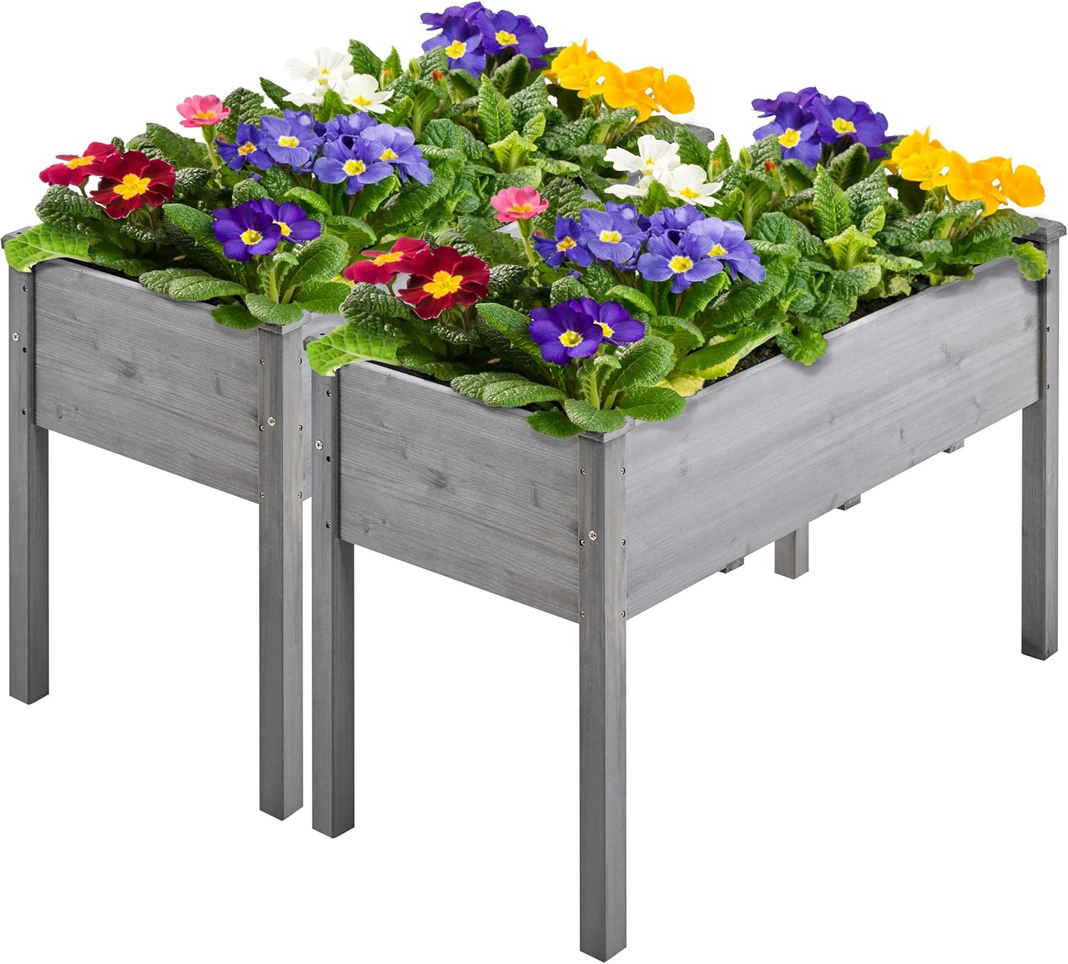 Two gray elevated wood raised garden beds with colorful flowers planted in them.