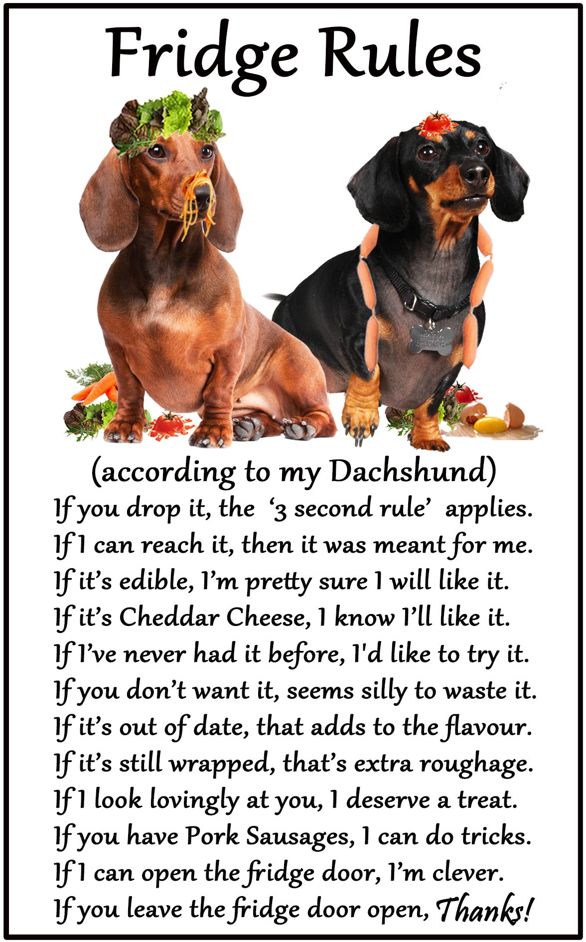 Fridge Magnets White Dachshund Gift - Fridge Rules - Large Fun Flexible Fridge Magnet- Size 16Cms X 10 Cms (Approx. 6" X4")