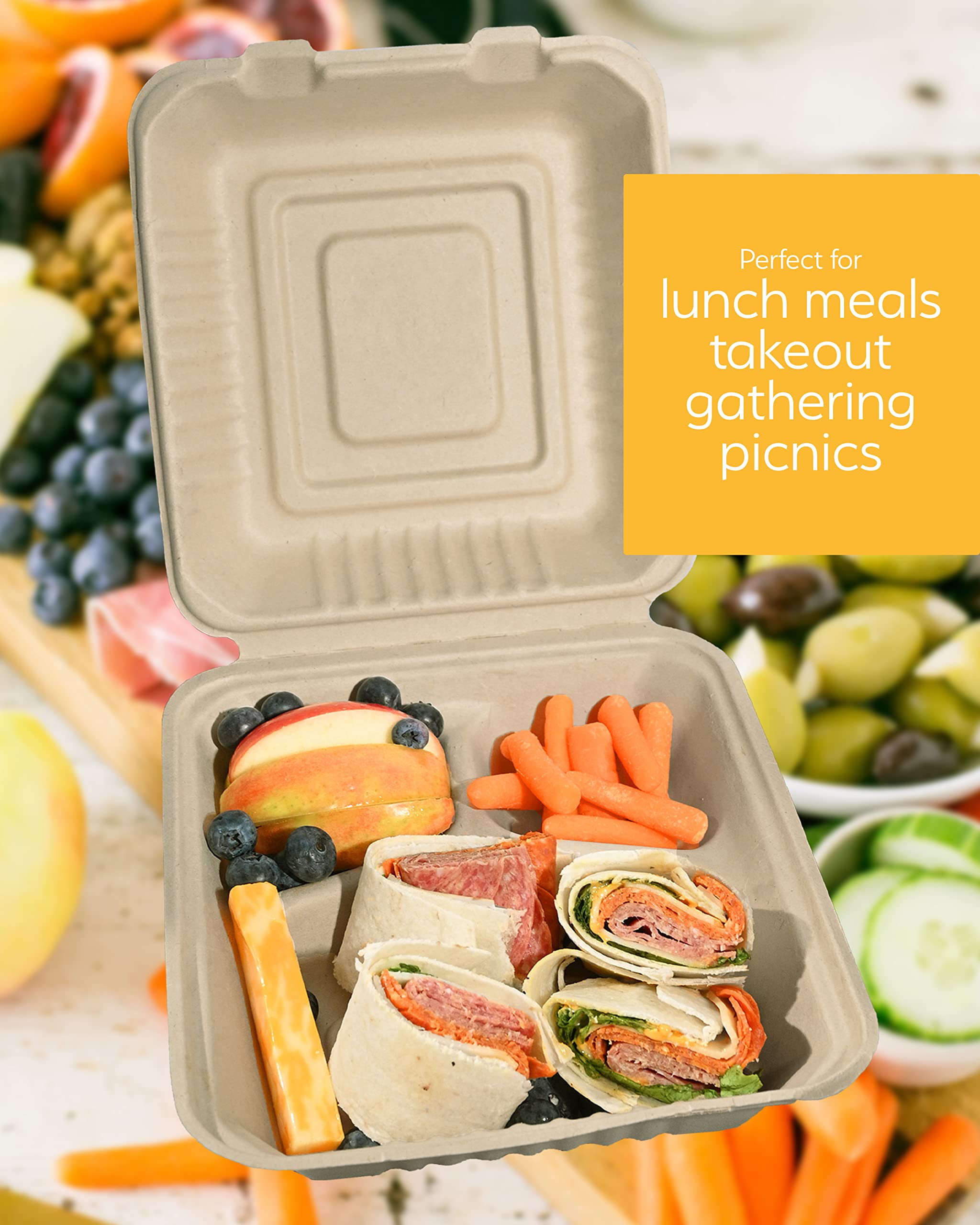 100 Compostable Disposable Food Containers with Lids [8”X8” 200