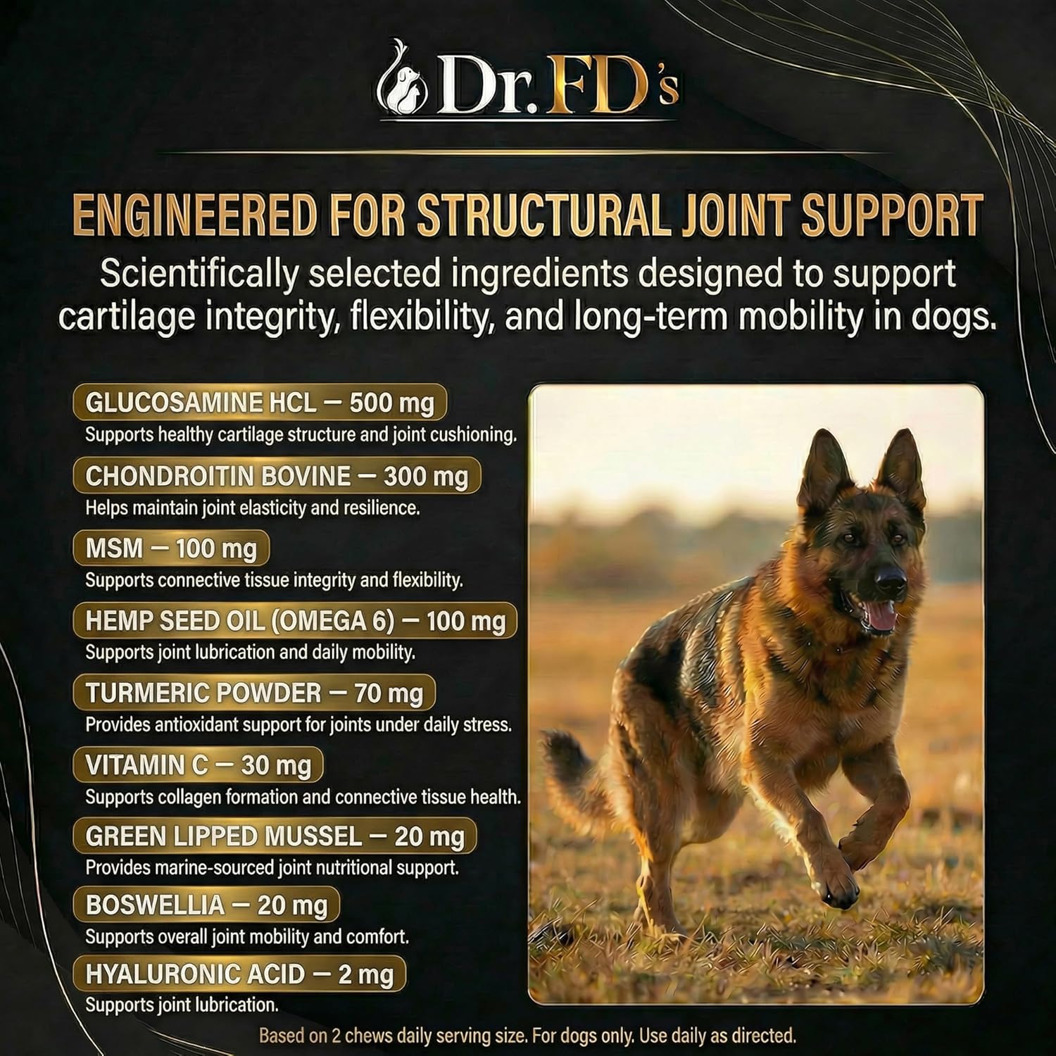 Dr. FD’s RenoFlex Dog Joint Supplement for Medium & Large Breeds, Hip and Joint Support Soft Chews with Glucosamine, Chondroitin, MSM and Turmeric, Daily Mobility Support, 120 Soft Chews