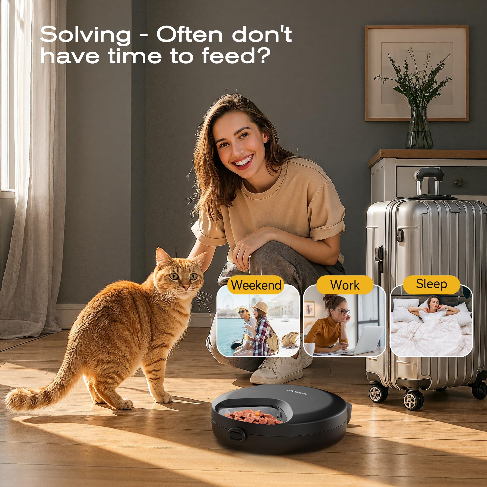 Futterautomat Katze Nassfutter Katzenfutter Automat: Futterspender Katze mit Programmierbarem Timer und Kuehlung - Trockenfutterspender für Hund Kabellos Batteriebetrieben - 4 Mahlzeiten für Haustiere