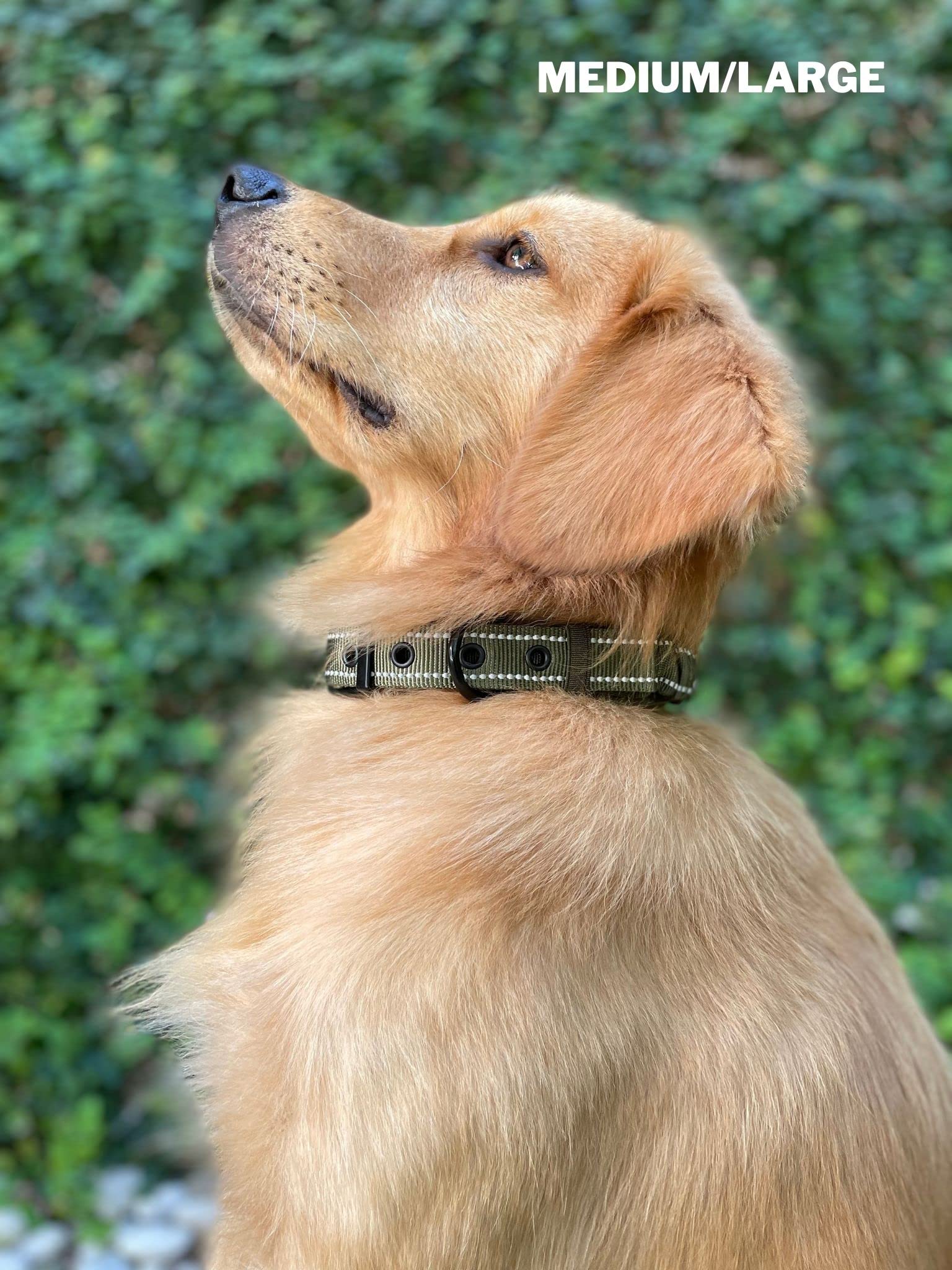Tuff Pupper Robustes Hundehalsband mit Griff | Halsband aus ballistischem Nylon | Gepolstertes, reflektierendes Hundehalsband mit verstellbaren Edelstahlbeschlägen | Praktische Größe für alle Rassen