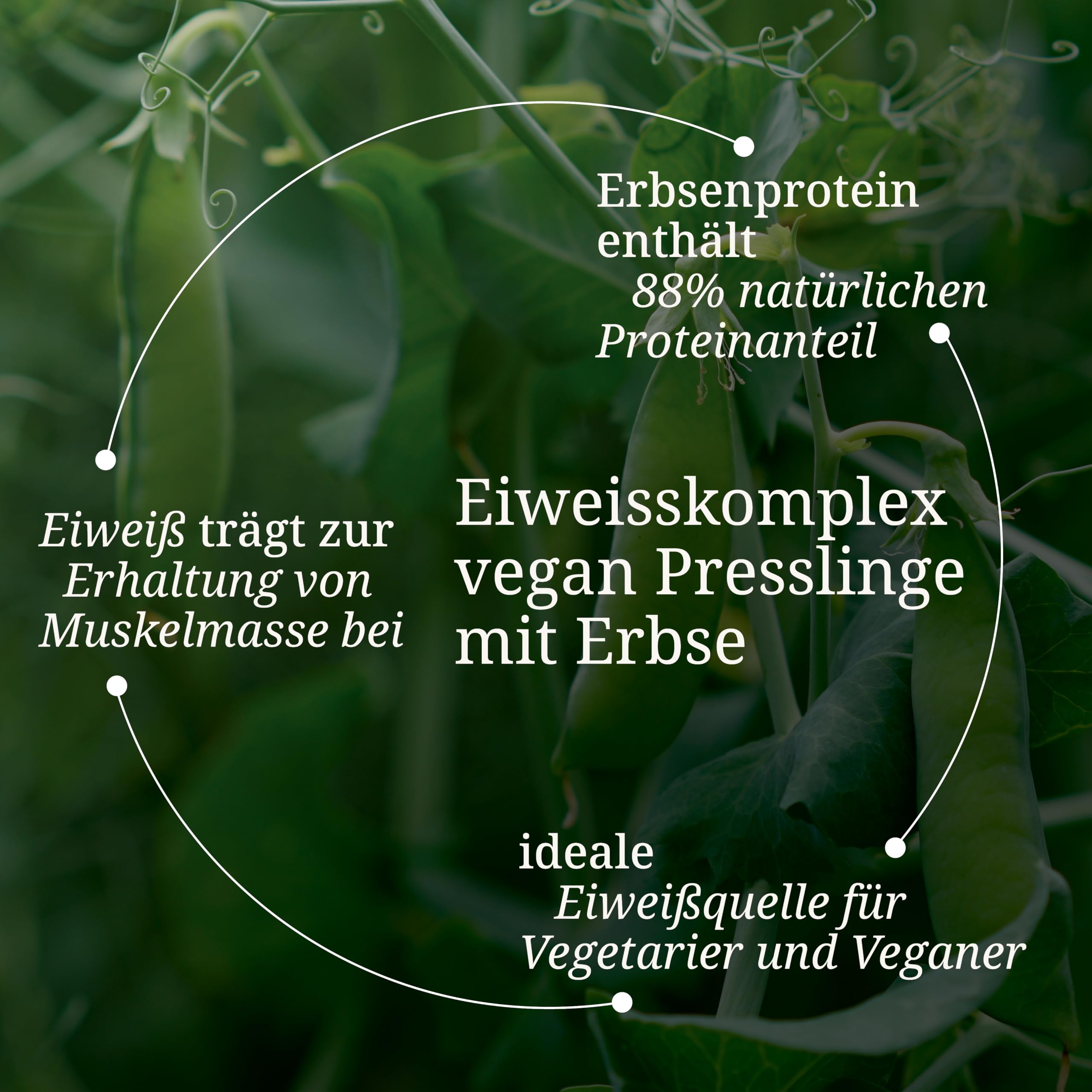 Eiweißkomplex Vegan I Eiweißpulver Tabletten Ohne Laktose (344 Stk) Erbsenprotein Hanfprotein Vitalstoffe Pflanzliches Protein Metabol BCAA Muskelaufbau Eiweiss naturbelassen BÄRBEL DREXEL®