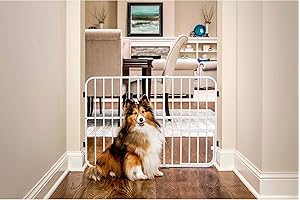 Tuffy Metal Pet Gate with Cat Door: Ultimate Home Safety and Convenience