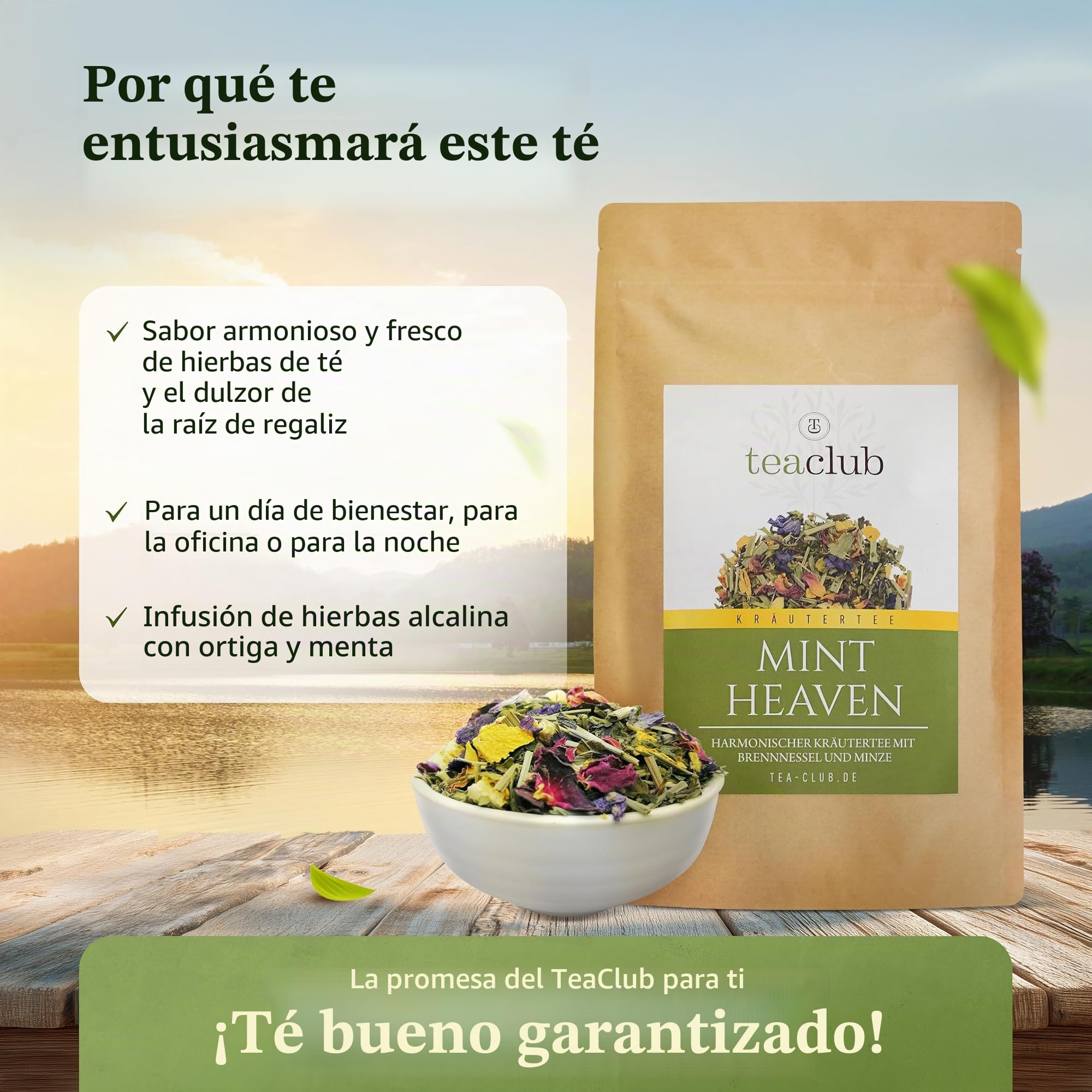 TeaClub Mint Heaven Infusión Básica a Granel 500g – Té Ortiga | Mezcla de infusión básica con ortiga, menta, citronela y pétalos de rosa, té de bienestar, bolsa doypack