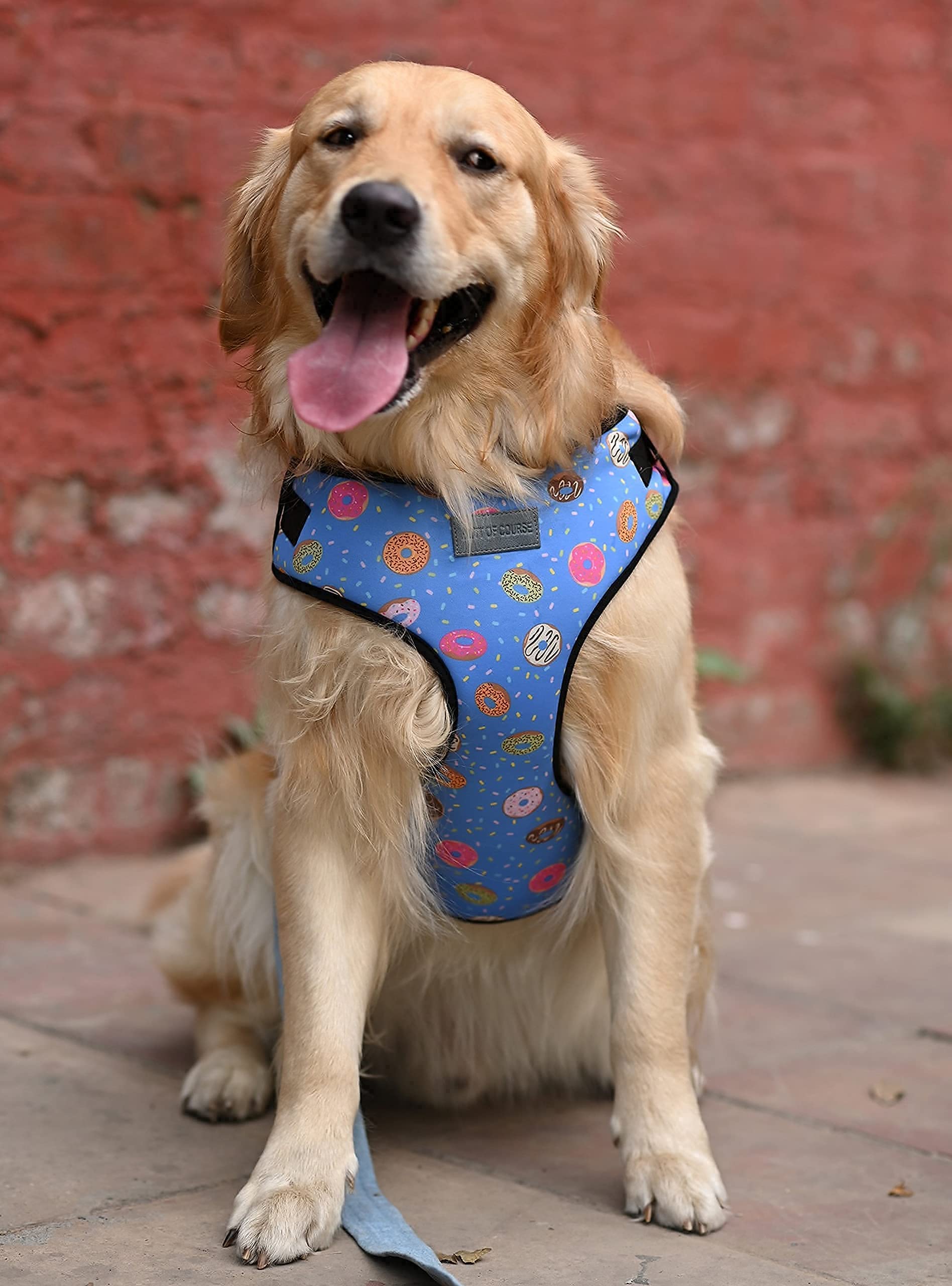 See full amazon price history chart for Mutt of Course Raining Donut Harness for Dogs | Neck- 16-22" (L) | for Large Dogs Like Golden Retriever, Labrador etc. Mutt of Course Raining Donut Harness for Dogs | Neck- 16-22" (L) | for Large Dogs Like Golden Retriever, Labrador etc. (B097LR872V) Amazon Price History, Amazon Price Tracker