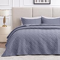 Vista 24 de Love's cabin Colchas para cama Queen de color blanco, colcha suave de verano, colcha de microfibra ligera, colcha de estilo moderno