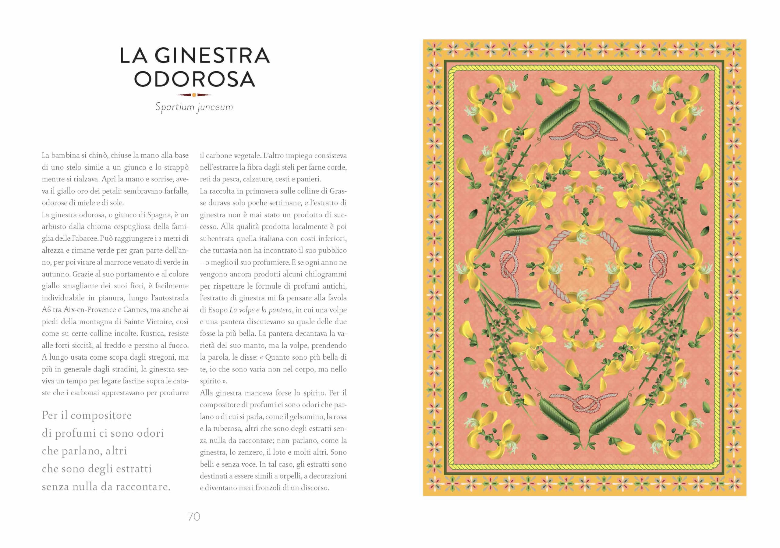 Atlante di botanica profumata. Essenze complementari. Ediz. illustrata