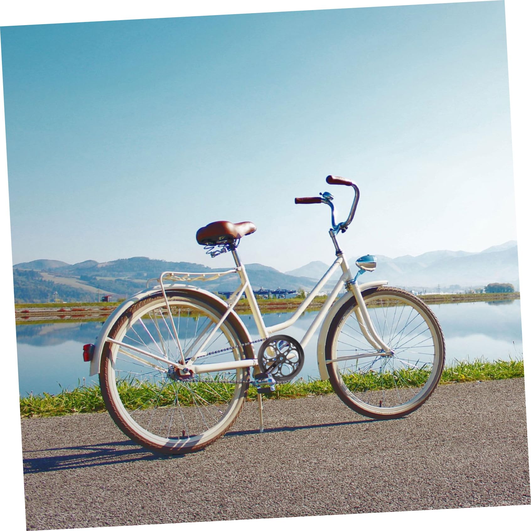 Alipis Guarnitura Singola per Bici Mountain Bike in Ferro Nero Resistente all'Usura Corona da 52 Denti e Braccio da 170mm per Sostituzione Accessori Bici