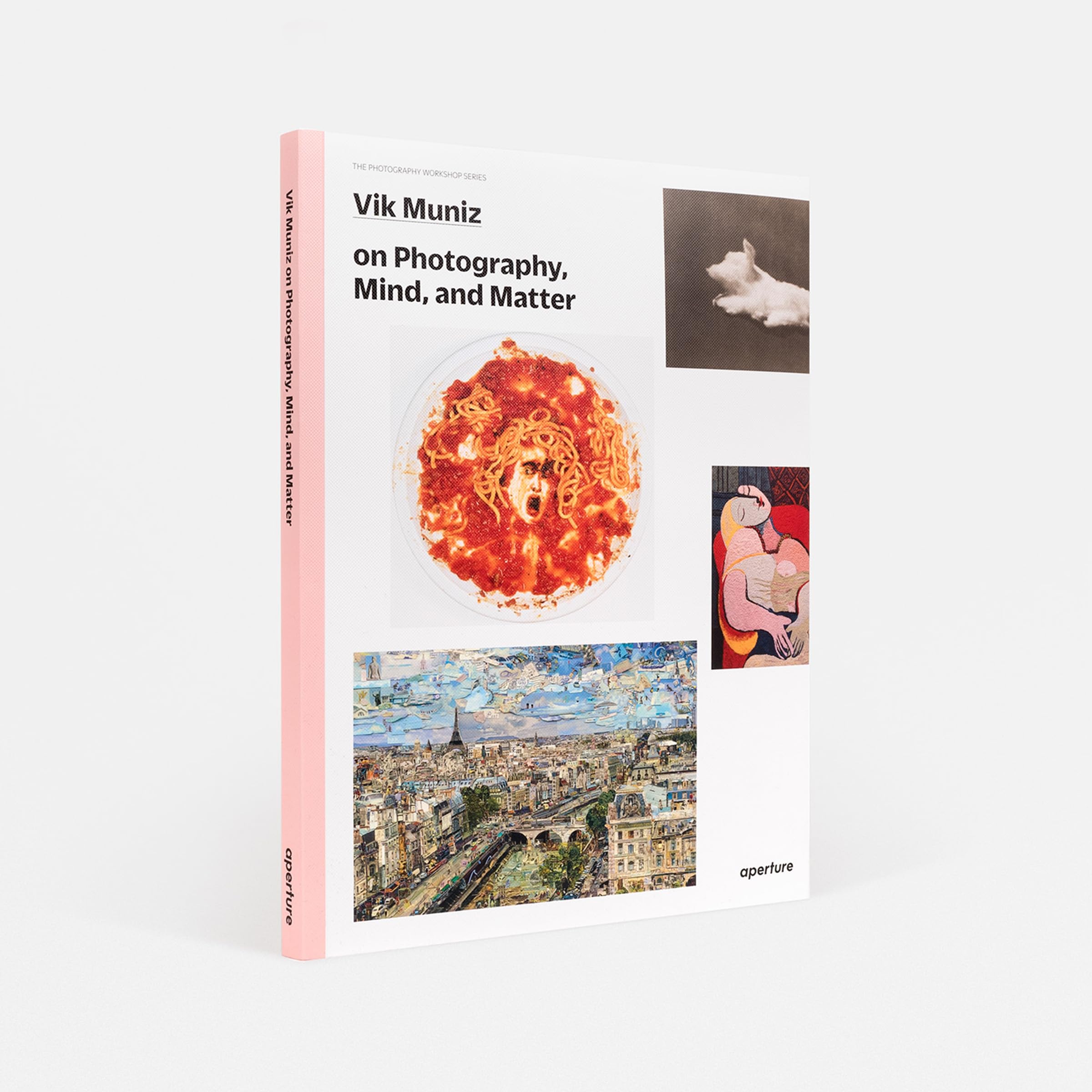 Vik Muniz The Photography Workshop Series /anglais: on photography, mind, and matter