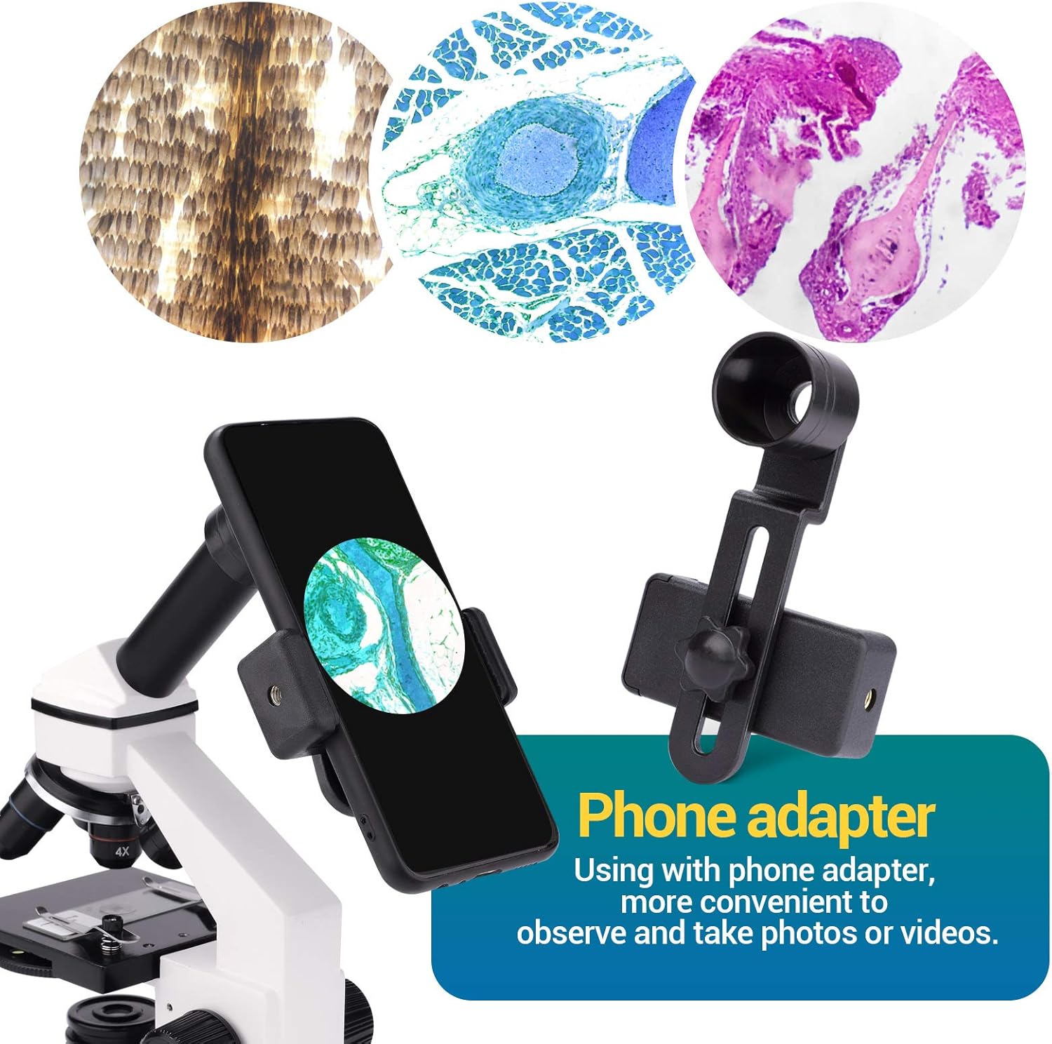 Up To 60% OFF USCAMEL 40X-2000X Microscope for Kids and Students, Dual LED Illumination Beginner Biological Microscope with Slides for School Laboratory Home Education Exclusive Discount 70% Price USCAMEL 40X-2000X Microscope for Kids and Students, Dual LED Illumination Beginner Biological Microscope with Slides for School Laboratory Home Education