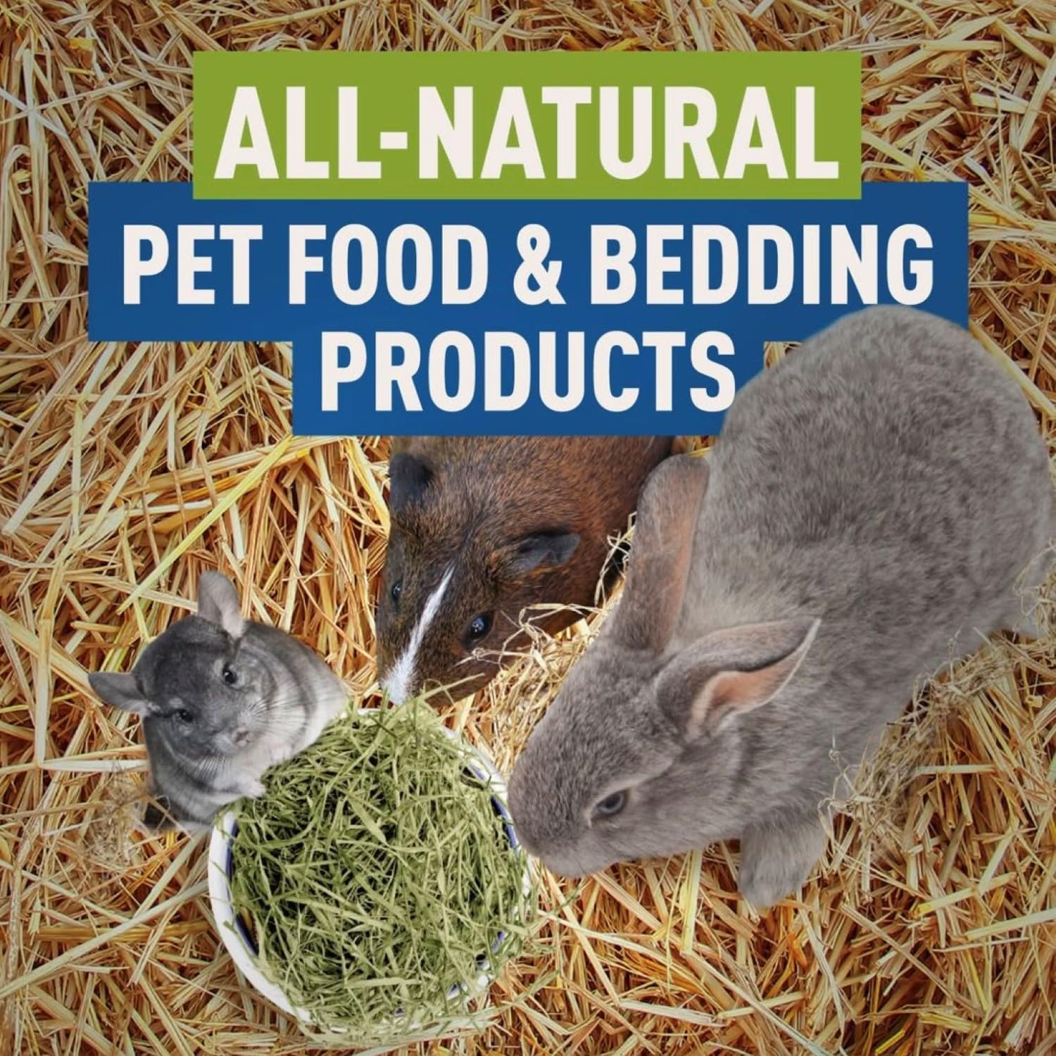 Blue Mountain Hay Bio-Strohhalm (11,3 kg), natürlicher Tier-Strohhalm für Meerschweinchen, Chinchillas, Kaninchen, Hamster, Hühner, Wildkatzen und Hühnerstall, Haustier-Strohhalm, Haustier-Strohhalm
