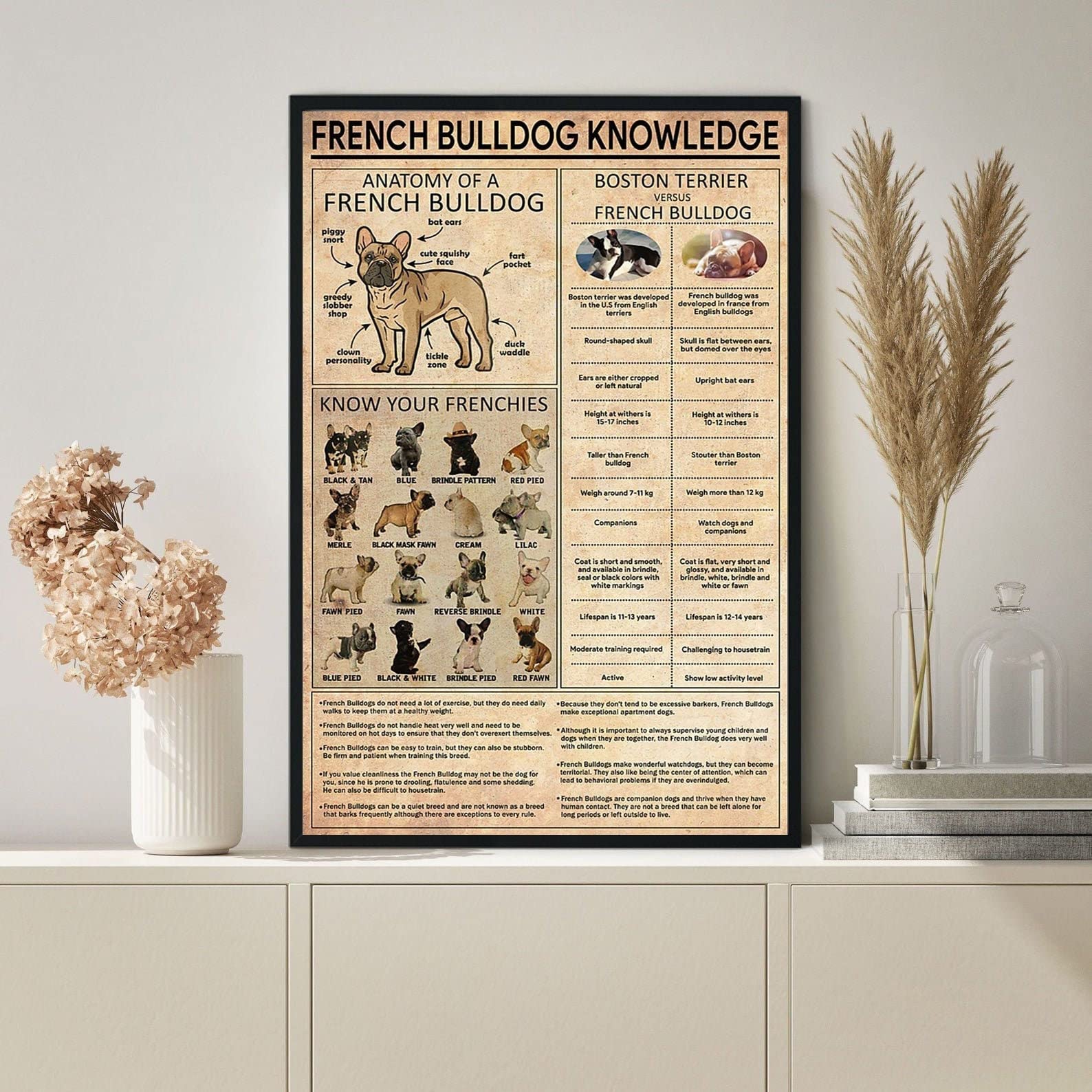 French Bulldog Knowledge Poster Gift For Bulldog Lovers French Bulldog Poster French Bulldog French Bulldog Gift Bulldog Sign Metal Tin Signs Plaque Iron Painting Wall Decor Art 8x12 Inch