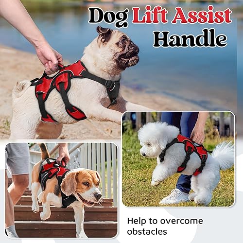 Miniatura 3 de rabbitgoo Arnés para perro a prueba de escapes, arnés suave acolchado de cuerpo completo para mascotas, chaleco reflectante ajustable sin tirones