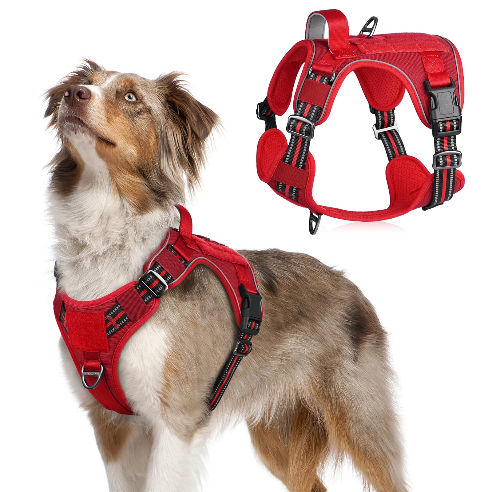 rabbitgoo Tactical Dog Harness Medium Sized Dog, No Pull Military Service Vest with Handle & Molle, Easy Control for Training Walking, Adjustable