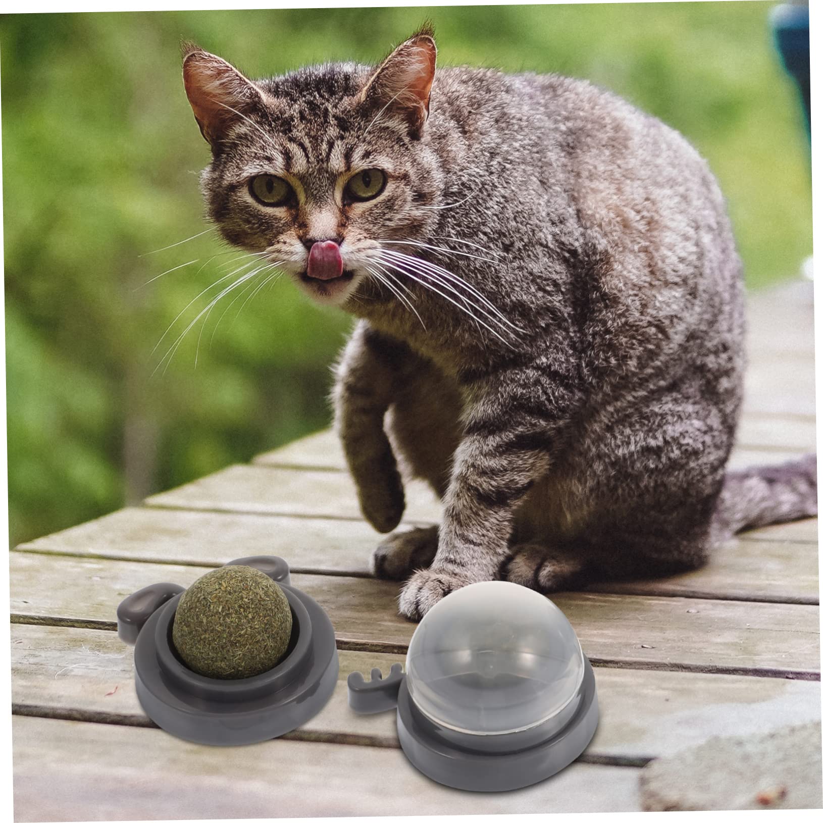 Supvox 12stücke Katzenminze Lick Ball Multifunktionales Spielzeug Zur Zahnpflege Für Katzen Rotierender Interaktiver Kauspielzeug Für Drinnen Gesundheit Und Spielspaß