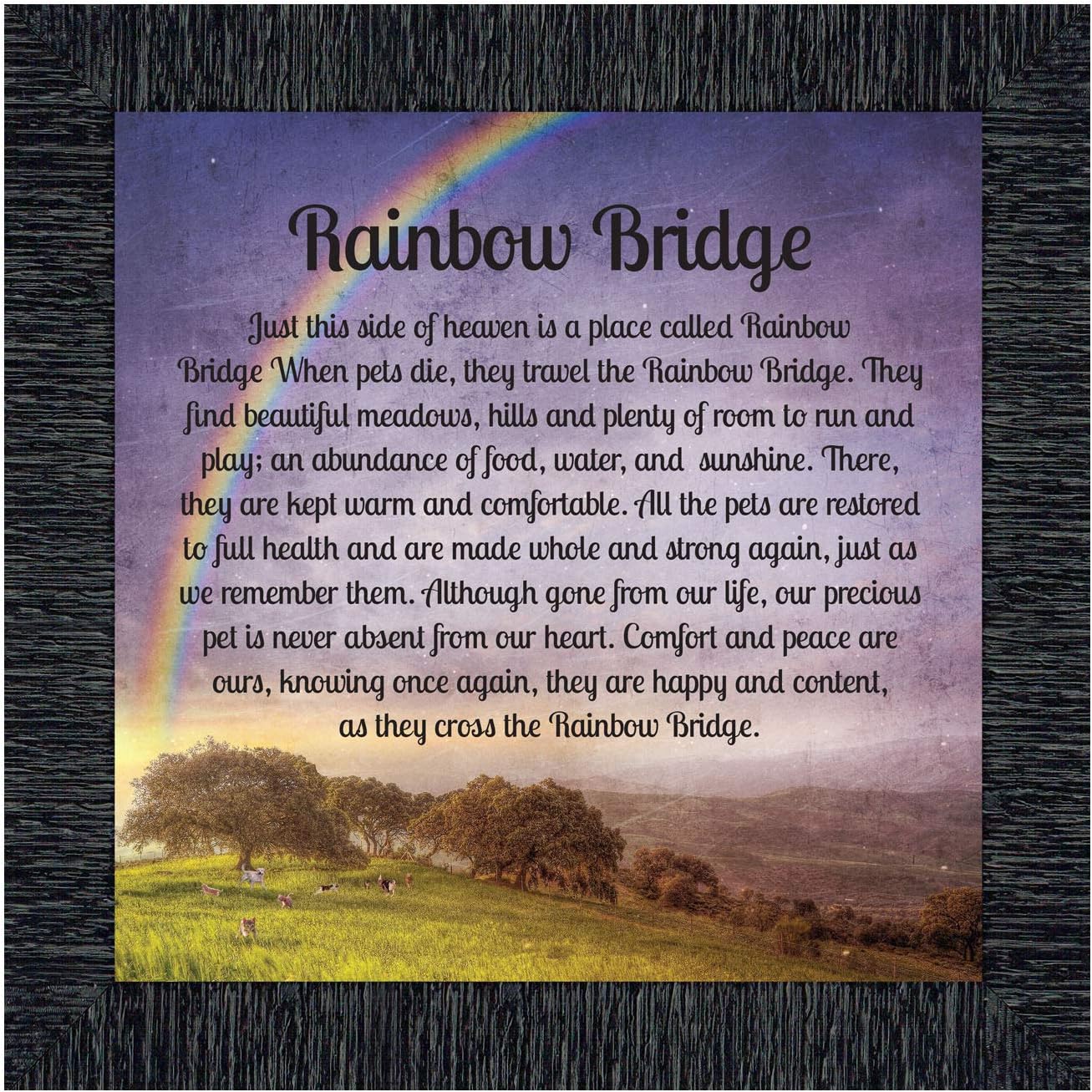 Crossroads Home Décor Rainbow Bridge Picture Frame, Dog Loss, Loss of a Pet, Loss of a Cat, Pet Memorial Picture Frame, 7414W