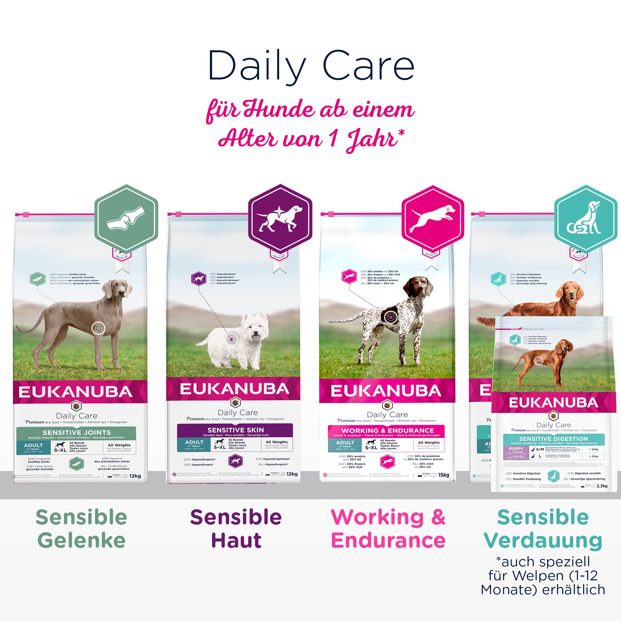 Eukanuba Daily Care Sensitive Digestion Hundefutter - Trockenfutter für Hunde mit sensibler Verdauung, Magenfreundlich mit leicht verdaulichem Reis, 12 kg