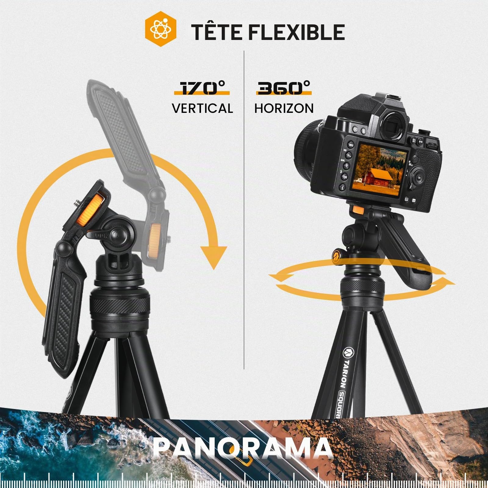 TARION Trepied Appareil Photo Compact: Trepied Telephone Smartphone Portable avec Tête de Trépied Amovible Trepied de Voyage Camera DSLR Leger pour Vidéo Vlog Stream Photographie Squorpion