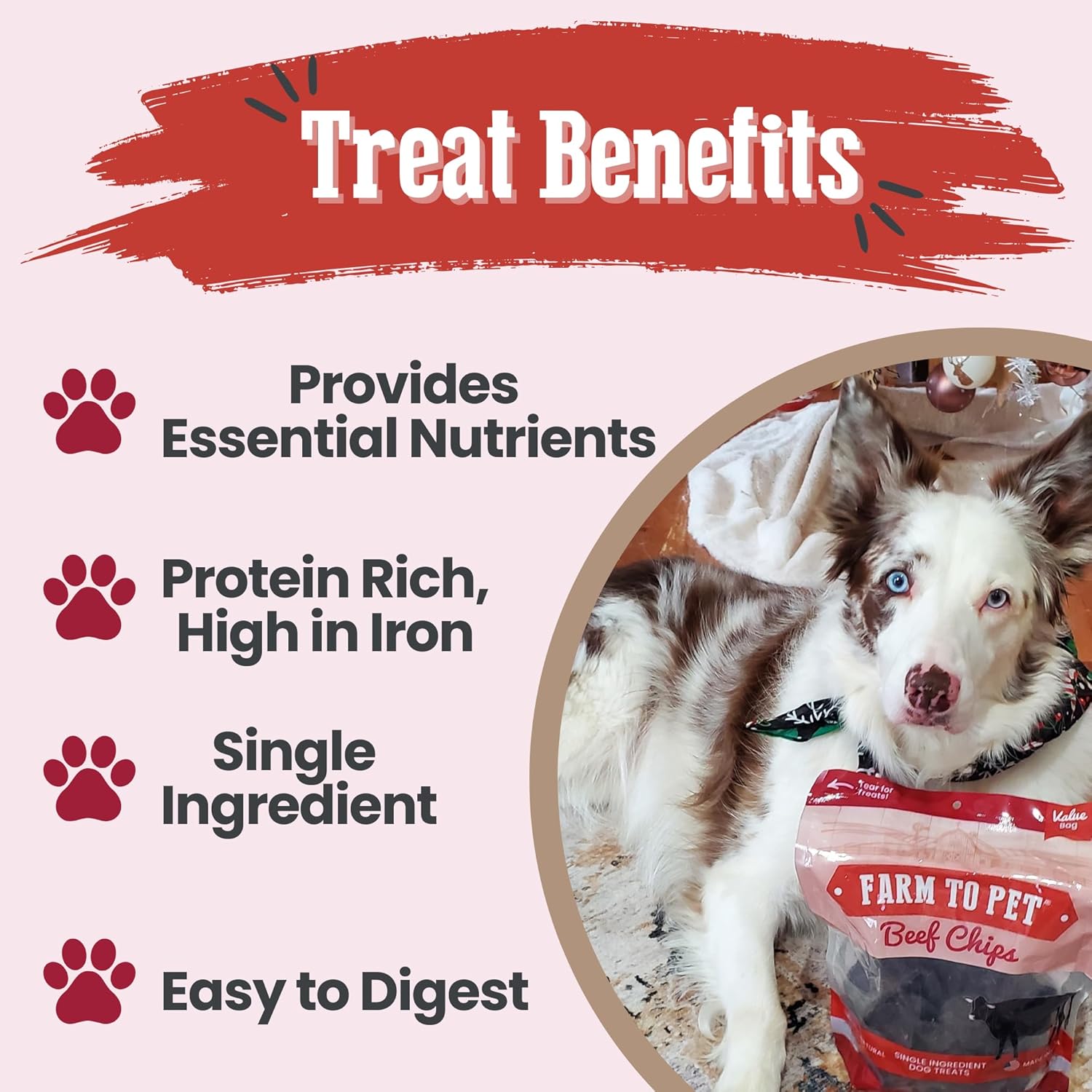 Farm To Pet - Dog Training Treats - 12 oz Beef Chips, Single Ingredient, Lean, All Natural, Healthy Dog Treats for Small, Medium, Large Breeds, & Puppies, Made in USA