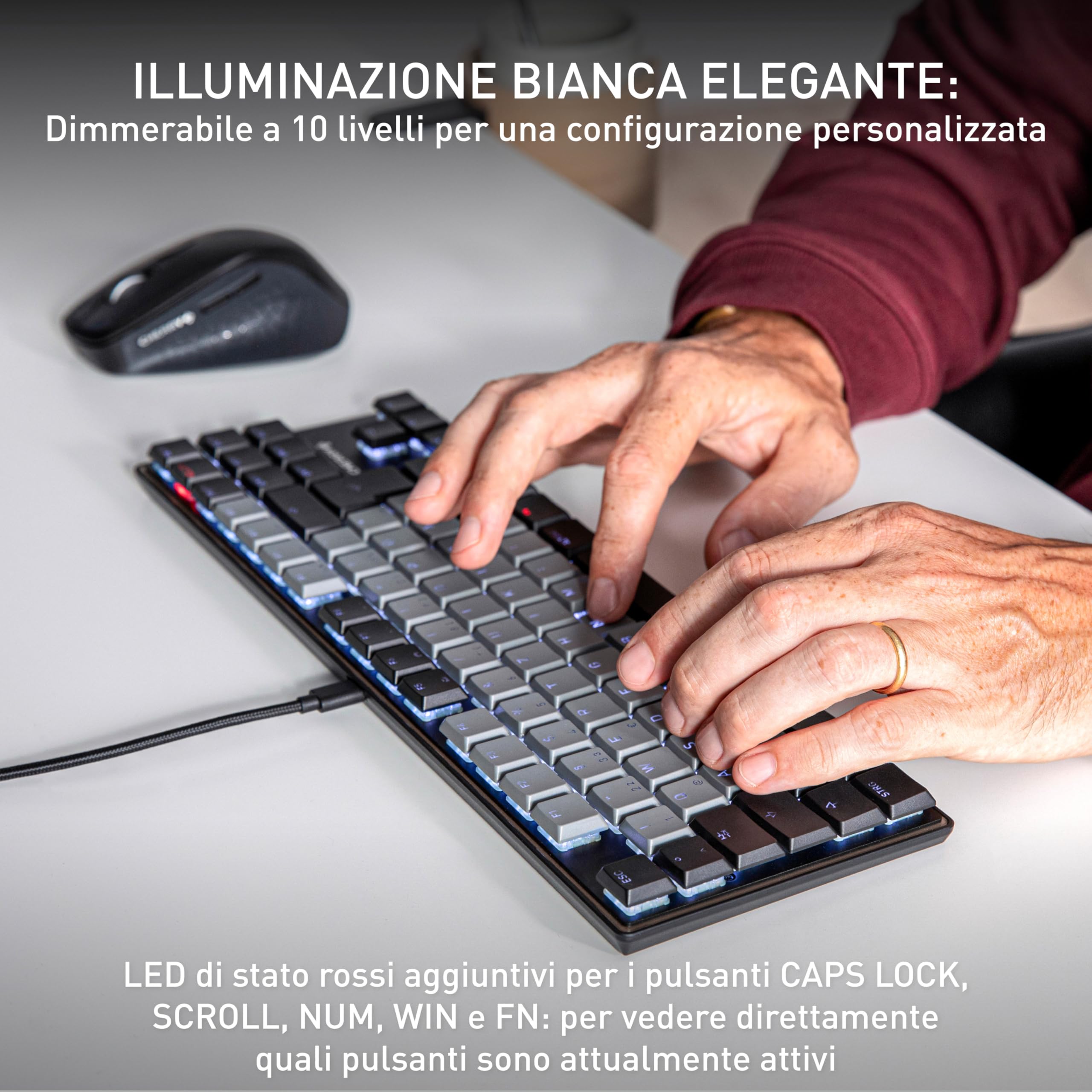 CHERRY KC 500 MX LP TKL, Tastiera Meccanica A Basso Profilo Senza Tastierino Numerico, Layout Tedesco (QWERTZ), USB-A, Interruttori MX LP 2.0 IVORY, Nero