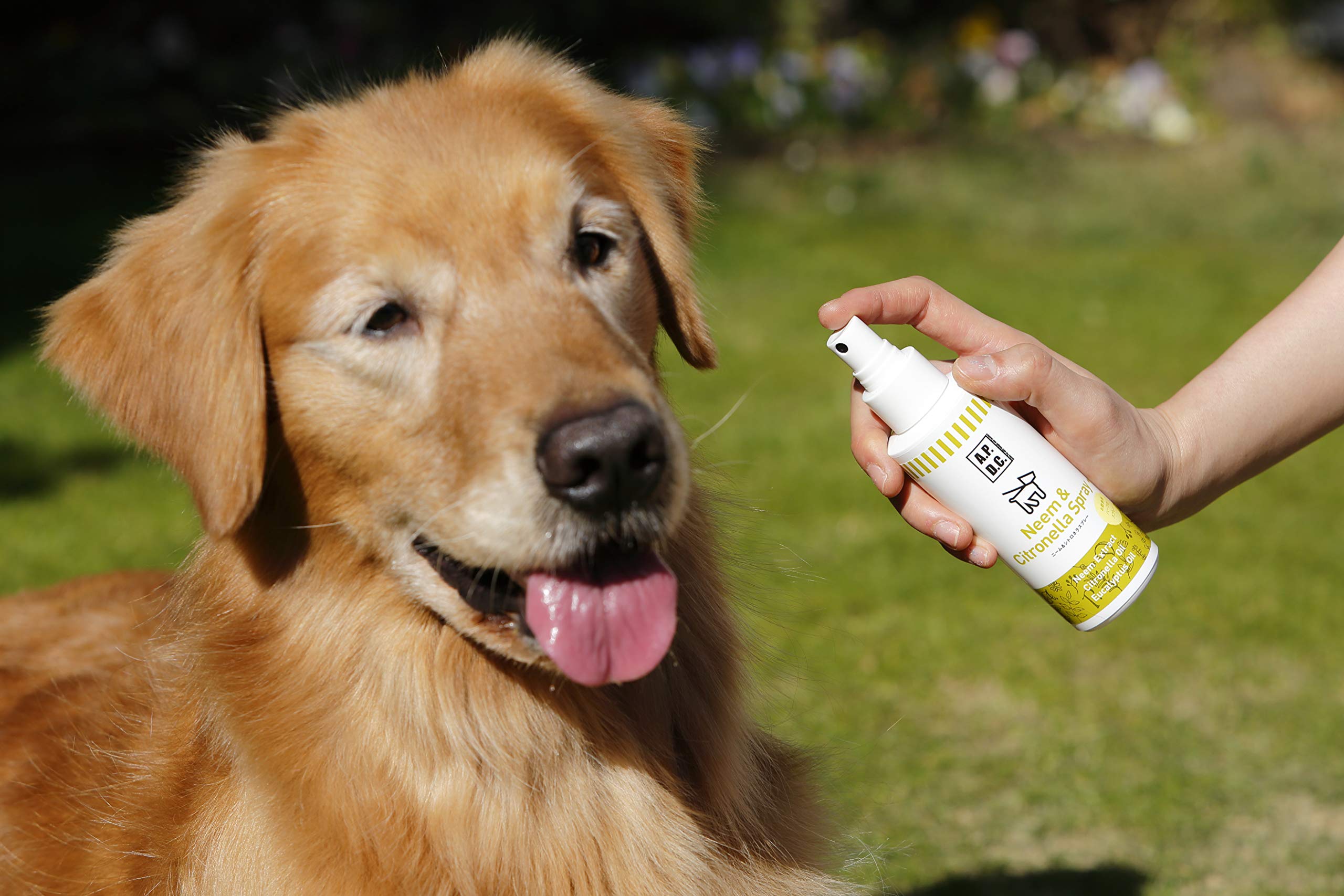 Amazon.co.jp: A.P.D.C. ニーム&シトロネラスプレー 125ml 犬用 虫除け