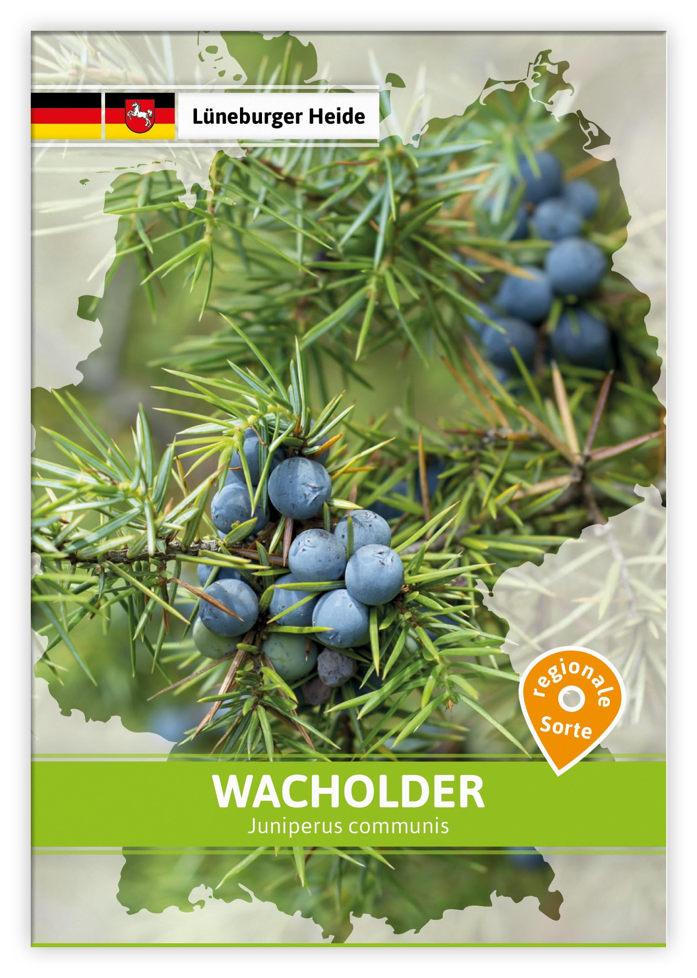 FLORTUS W5263-100x Wacholder (Regionale Sorte Lüneburger Heide) (100 Tütchen) (Saatgut für Werbezwecke)