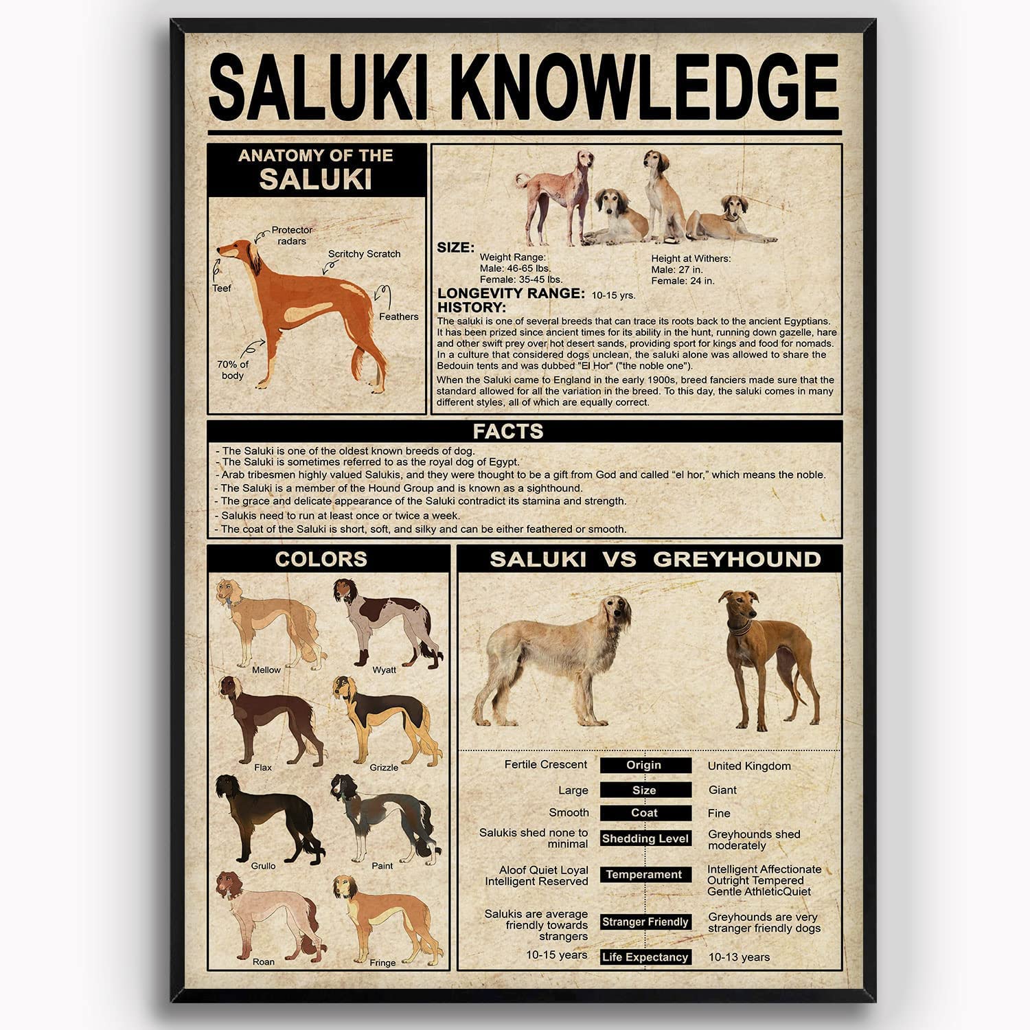 Saluki Knowledge Metal Signs Vintage Saluki Overview Infographic Retro Poster Wall Art for Dog Lovers Home Farmhouse Kennel Pet Shop Collectible Plaque Decorations 8x12inch