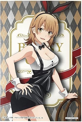 Amazon Co Jp やはり俺の青春ラブコメはまちがっている 完 ドン キホーテ 購入者特典イラストカード 一色いろは バニーガールver 俺ガイル グッズ購入者特典 ホビー 通販 Amazon Co Jp やはり俺の青春ラブコメはまちがっている 完 ドン キホーテ 購入者特典イラストカード 一色いろは バニーガールver 俺ガイル グッズ購入者特典 ホビー 通販