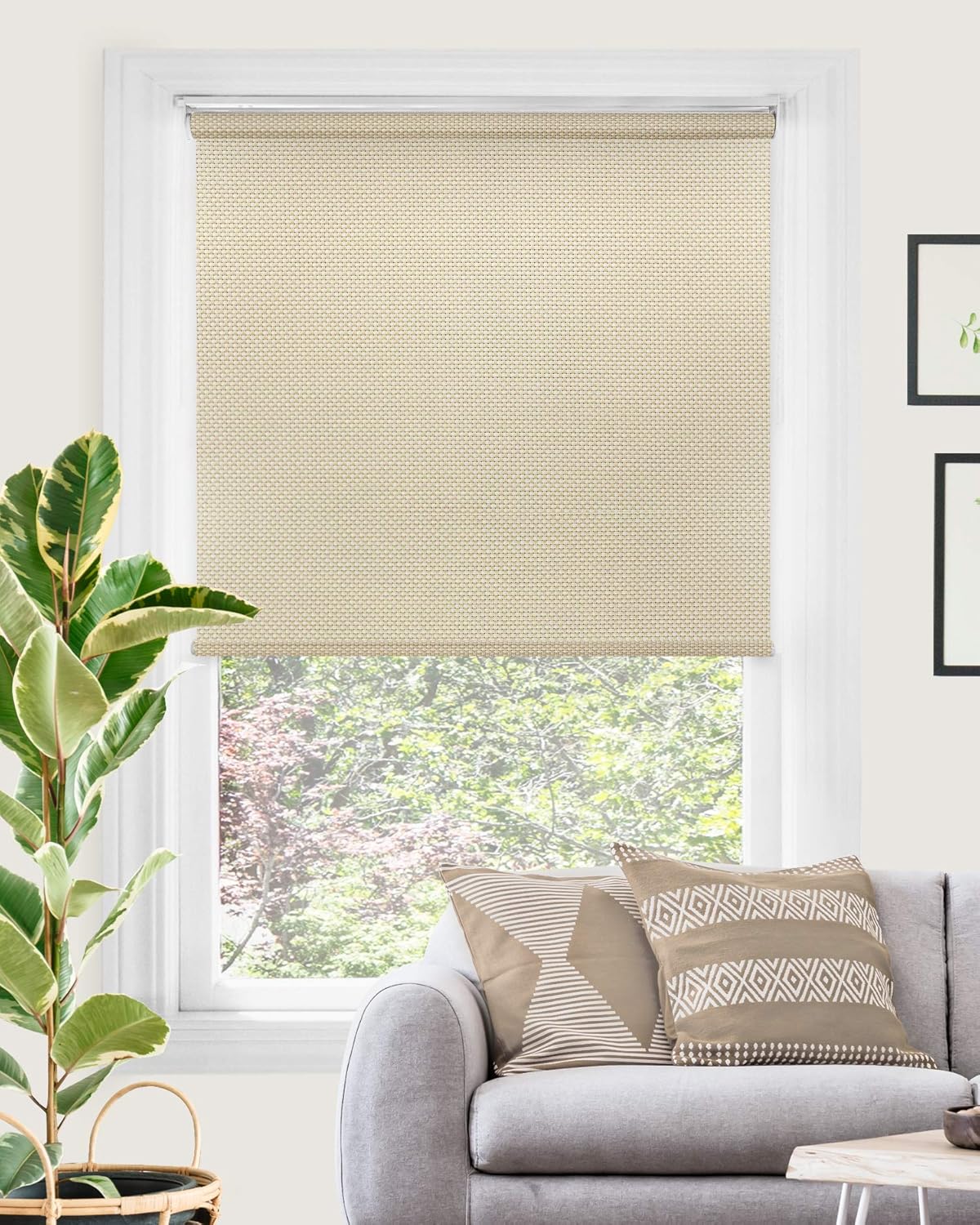 CHICOLOGY Custom Made Cordless Solar Roller Shade, Inside Mount, Window Blind with