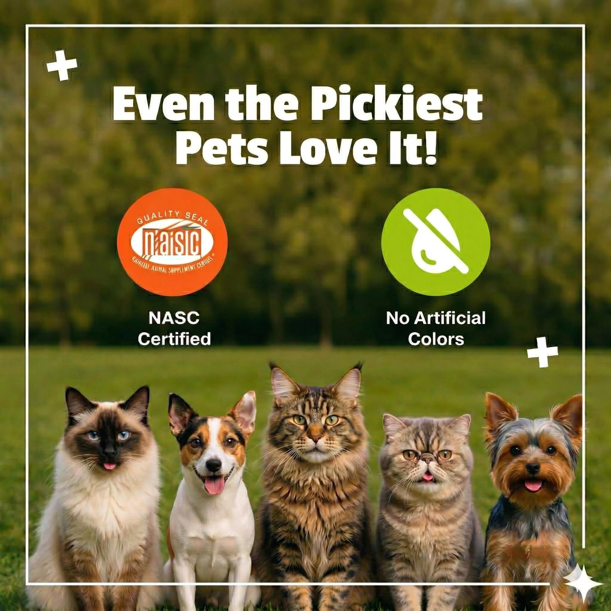 Pet Naturals Probiótico Diario para Gatos, 30 masticables, suplemento de Apoyo digestivo e inmunológico para Gatos