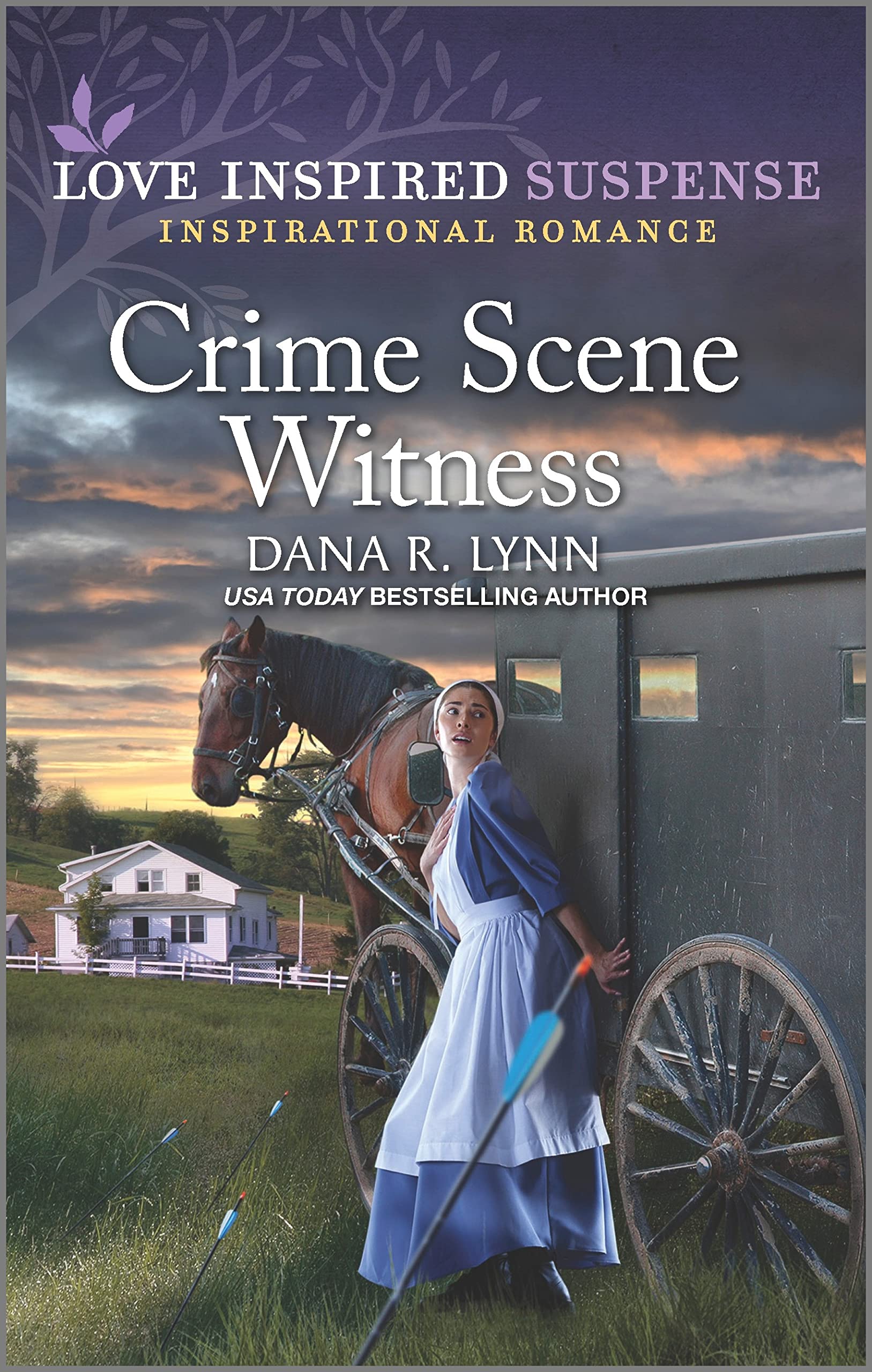 Crime Scene Witness: An Amish Inspirational Suspense Romance (Amish Country Justice Book 15)