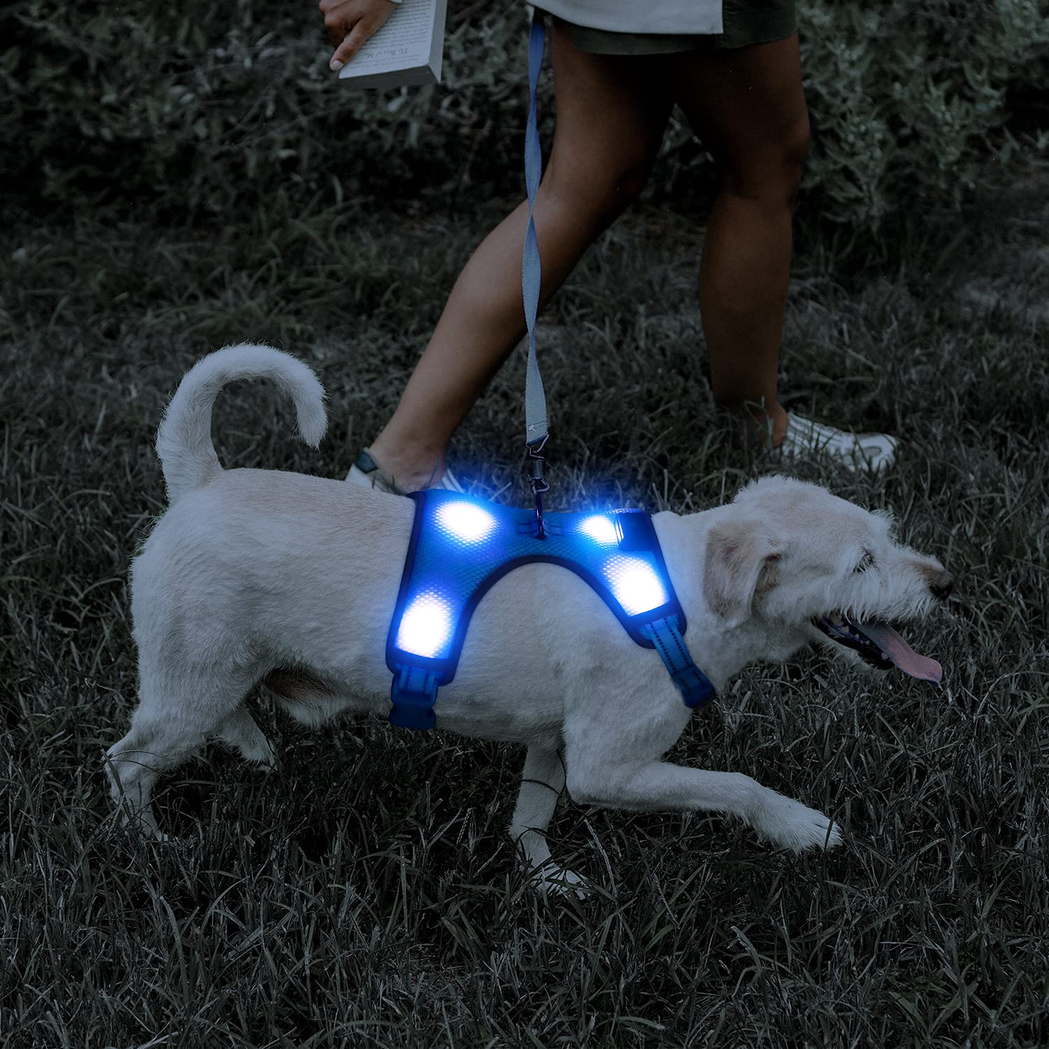 YFbrite Leuchtendes Hundegeschirr, über USB wiederaufladbar, LED-Haustiergeschirr, blinkend, Nachtsichtbarkeit, verstellbar, reflektierend, leuchtet im Dunkeln für Sicherheit, leuchtet im Dunkeln