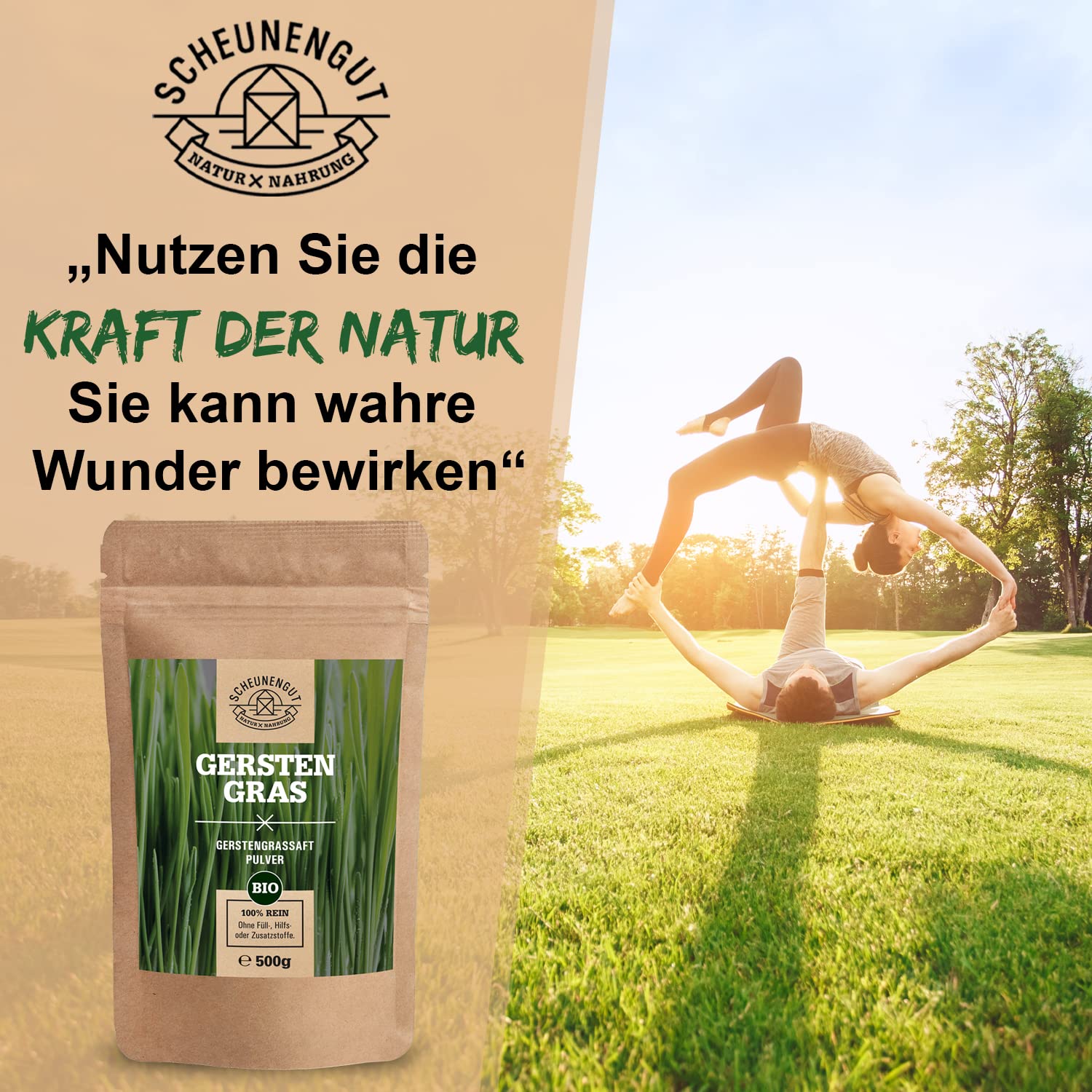 Gerstengrassaft Pulver Bio -WICHTIG: 100% Zertifizierte Bio-Ware aus den USA (500 Gramm) Reines Naturprodukt I Vegan + Laborgeprüft -Deutsche Produktion- SCHEUNENGUT®