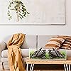 Product Photo 8