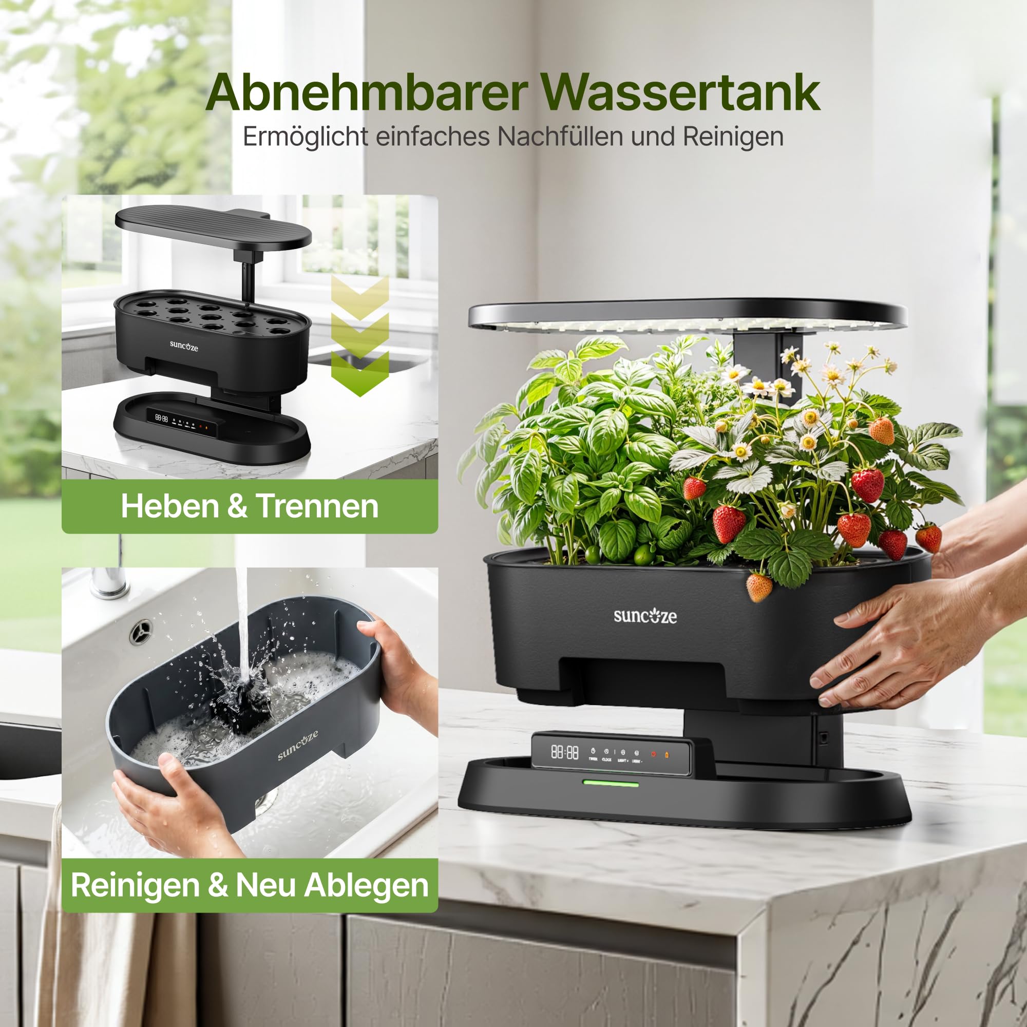 SUNCOZE Abnehmbarer Hydroponisches Anzuchtsystem mit 12 Hülsen, Schwarz | Indoor Kräutergarten mit 36W LED Pflanzenlampe, 5L Wassertank, Höhenverstellbar bis 550 mm, Hydroponik System mit Timer