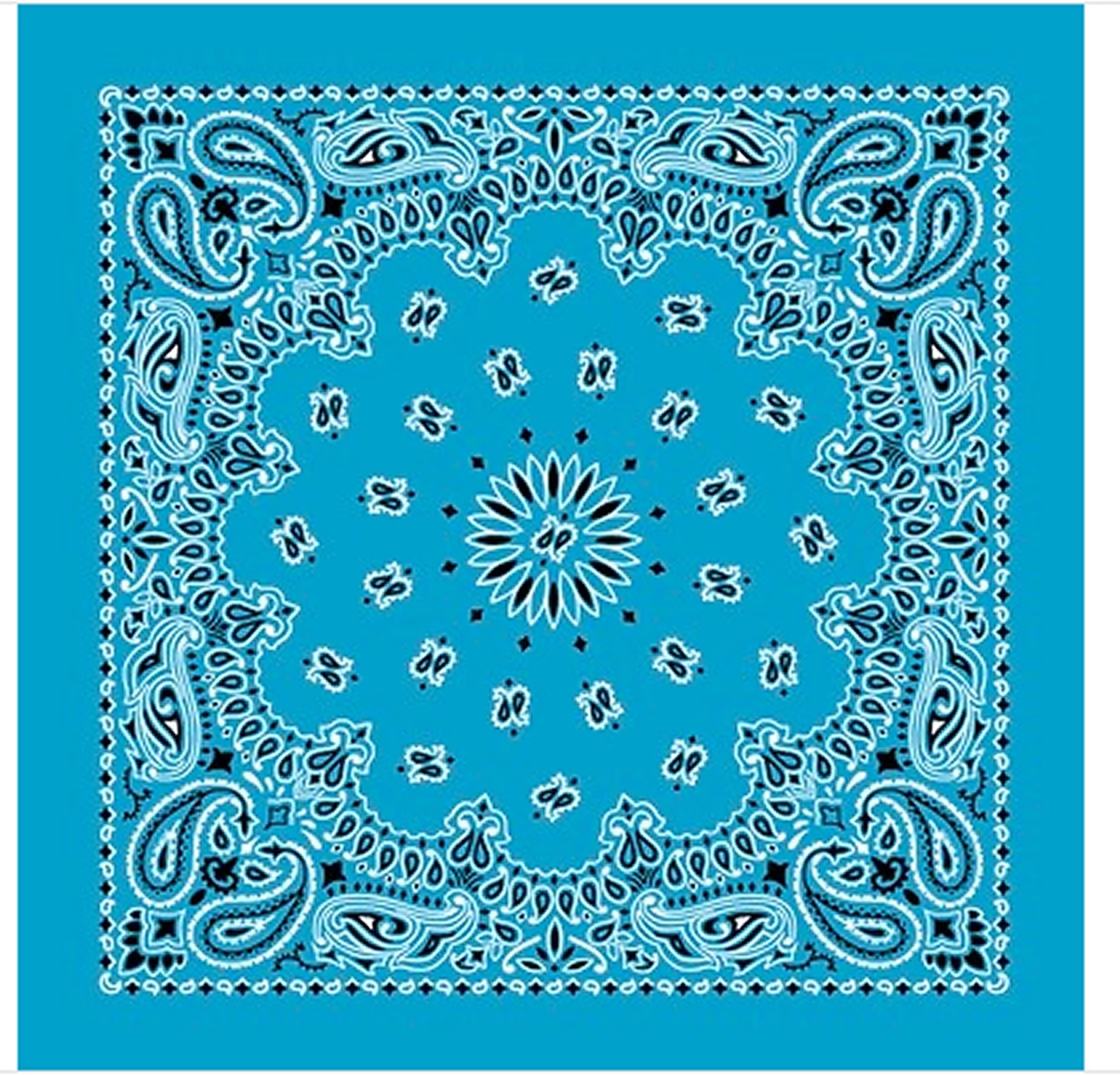 Fabfive - HAV-A-Hank - Original Made in USA Bandana - Light Blue, Size One Size/Without Size