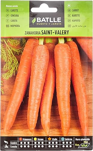 Semillas Batlle Zanahoria SAINT VALERY