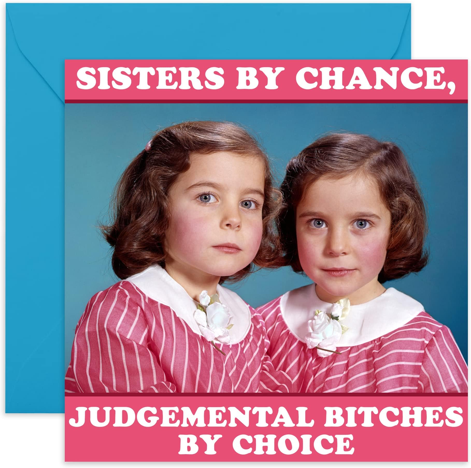 Funny Birthday Card for Sister - 'Sisters By Chance' - Rude Greeting for Her - Galentine's Day Card for Friends BFF Bestie - Best Friend Valentines Day Card - Comes with Fun Stickers Recyclable