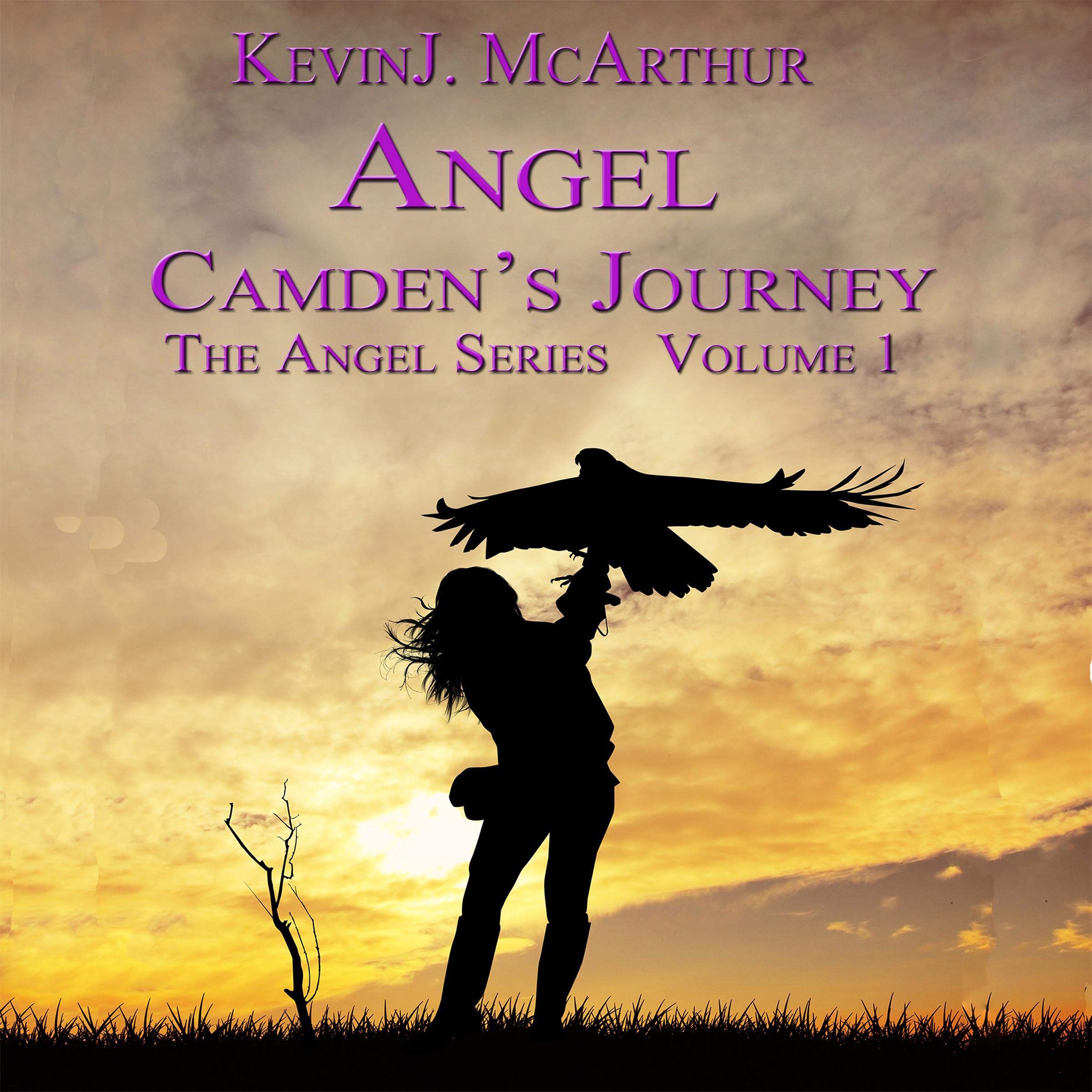 Cover art for Angel: Camden's Journey