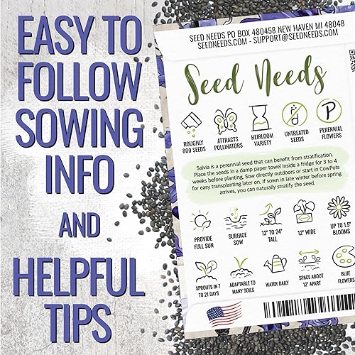 Miniatura 4 de Seed Needs Semillas de salvia azul zafiro para plantar, reliquia y salvia polinizada abierta, cultiva un jardín de mariposas con plantas con flores