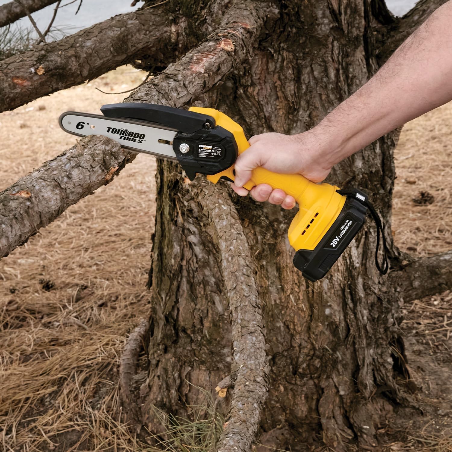 20V Mini Pole Saw