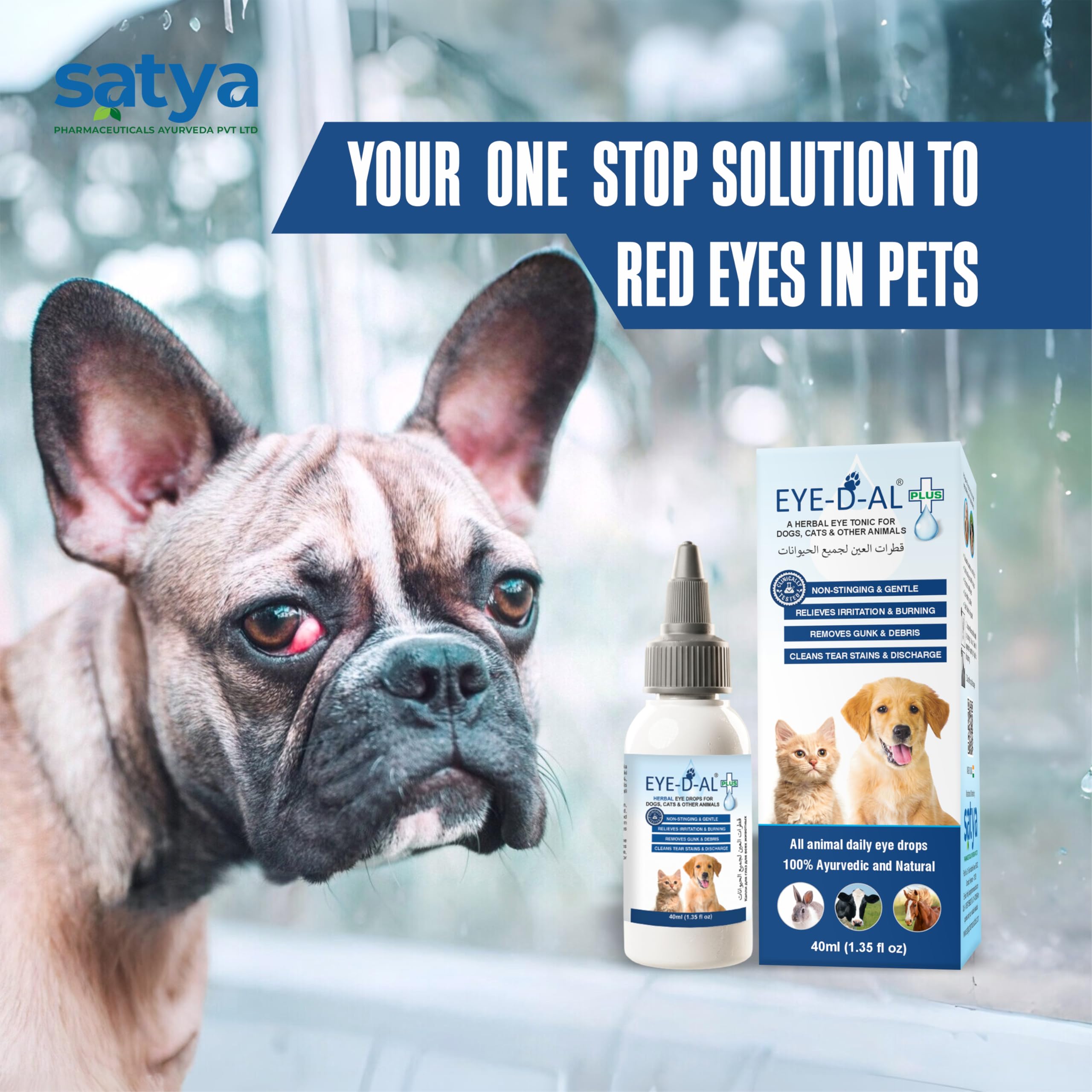 EYE-D-AL+ Herbal Eye Drops/Wash for Dogs Cats and Other Animals (Pack of 1) 3