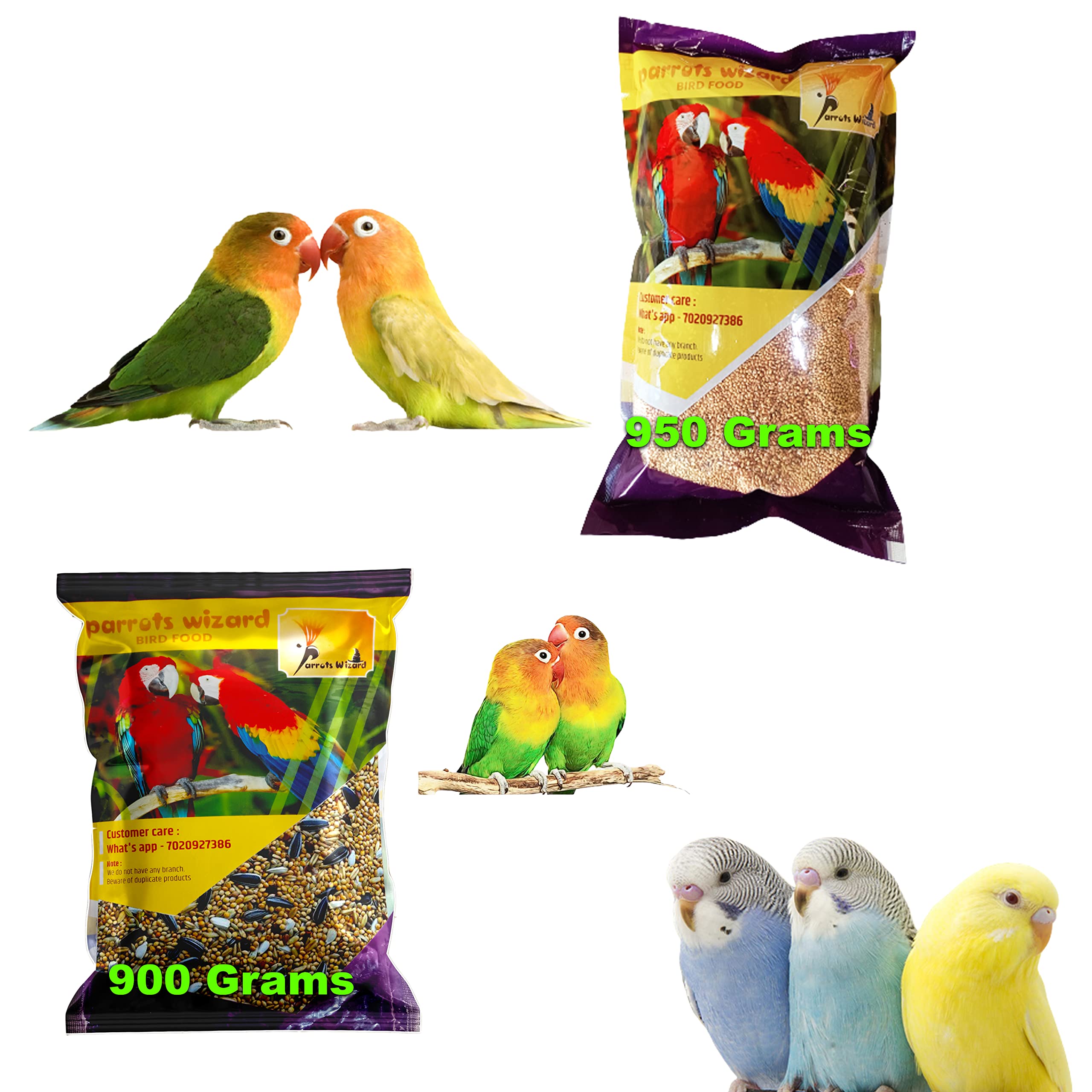Parrots Wizard, Kangni Bird Food Mix Seeds Combo Pack Each, (900 gram) (B09XXND8TP) Amazon Price History, Amazon Price Tracker