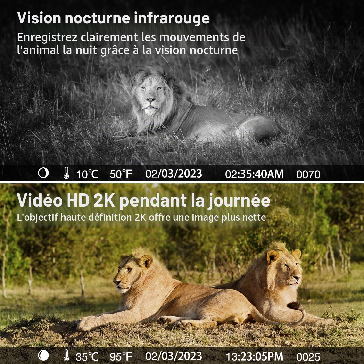 Camera de Chasse 4G et Carte Sim,2K Camera Exterieur sans Fil avec Panneau Solaire et Batterie,Détection PIR,Vision Nocturne Colorée,Audio Bidirectionnel,Étanche IP66,360° PTZ,sans WiFi