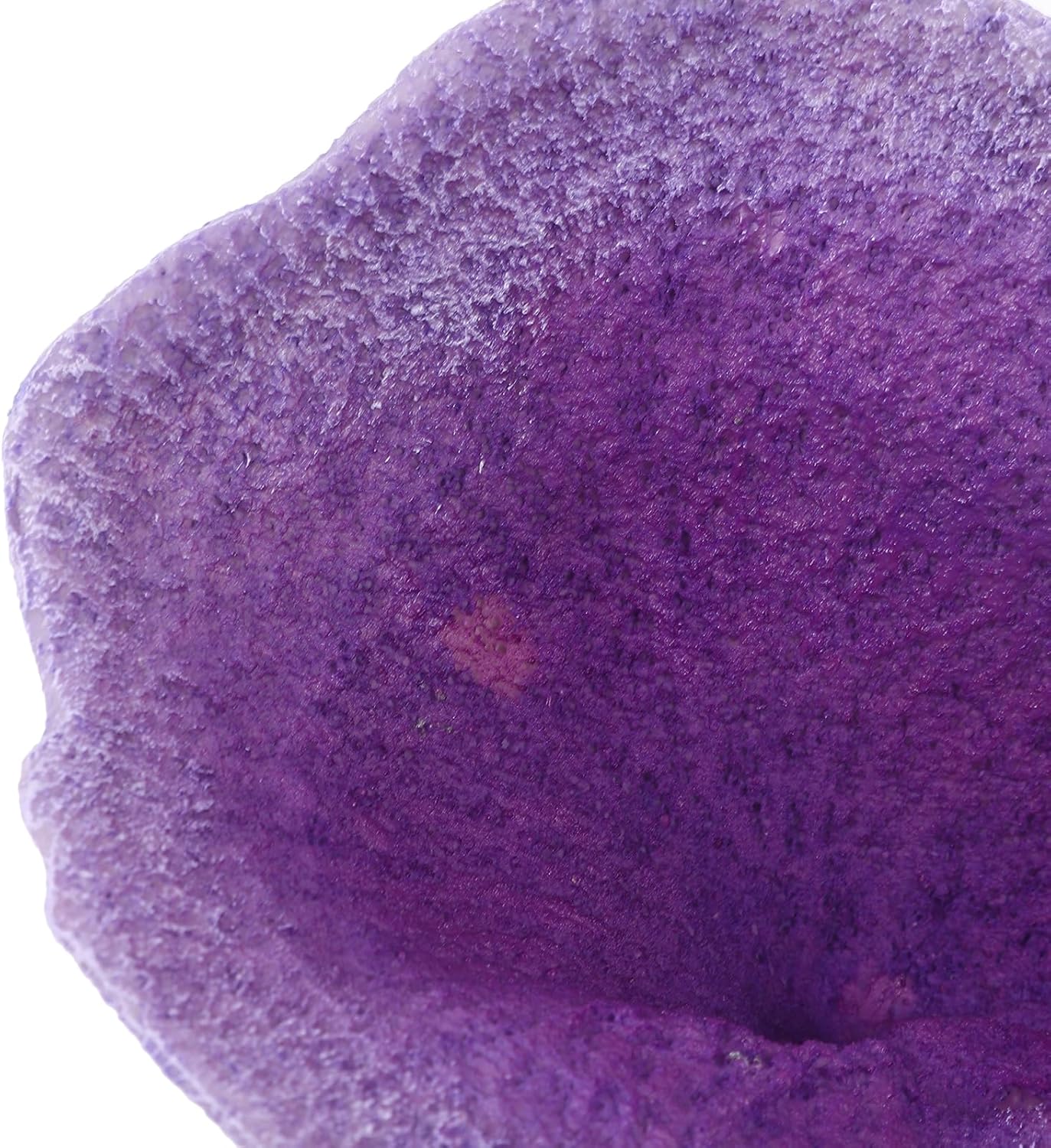 LUOZZY Artificial Coral Ornament Fish Tank Decoration Simulation Coral Figurine Fish Tank Decoration, Purple
