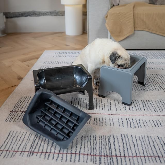 Foto 6 de 8 de Cuenco para Perros con alimentación Lenta y Pelusa