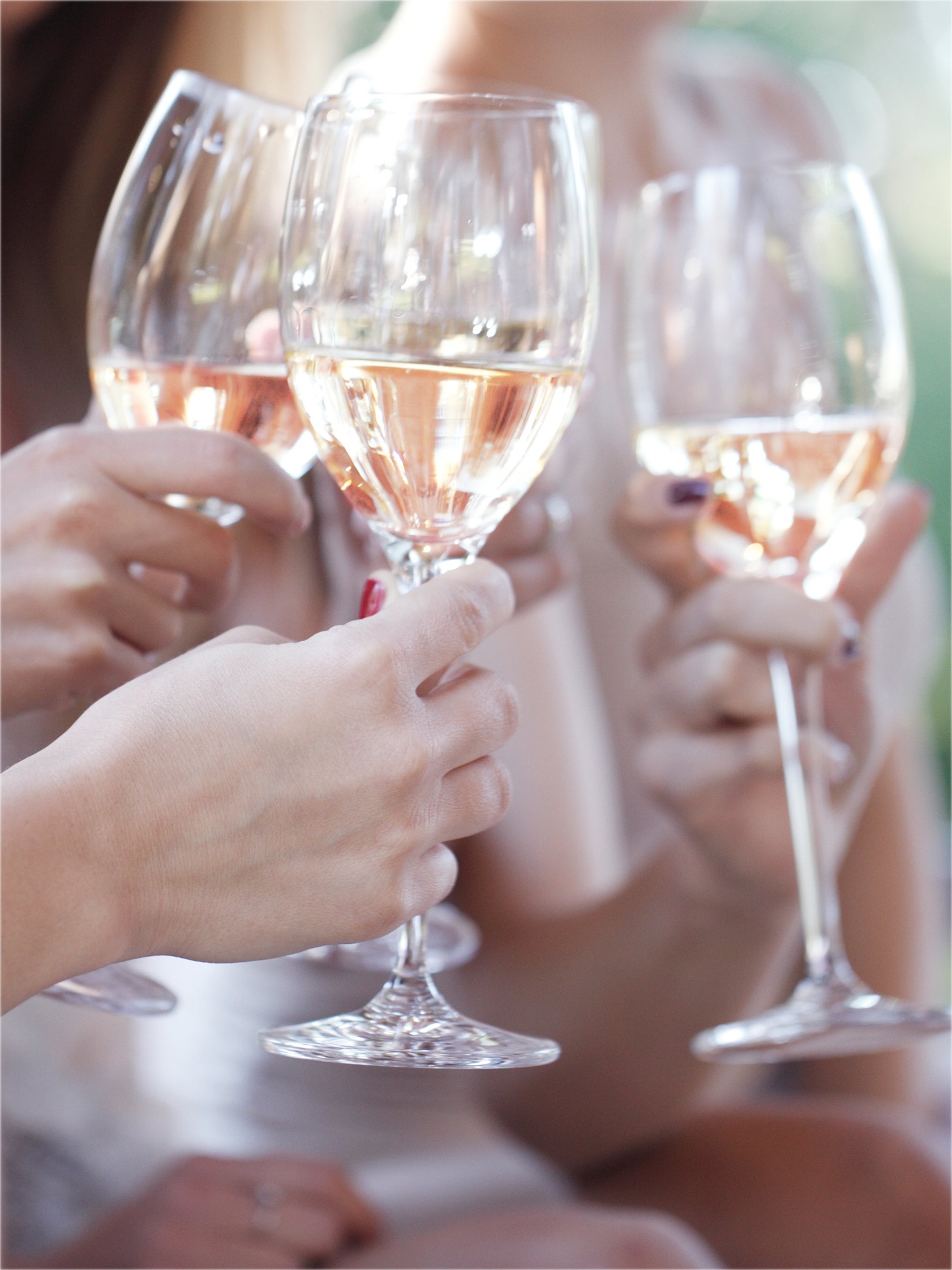 Blanchet Rosé de France Roséwein Trocken (6 x 0,75l)